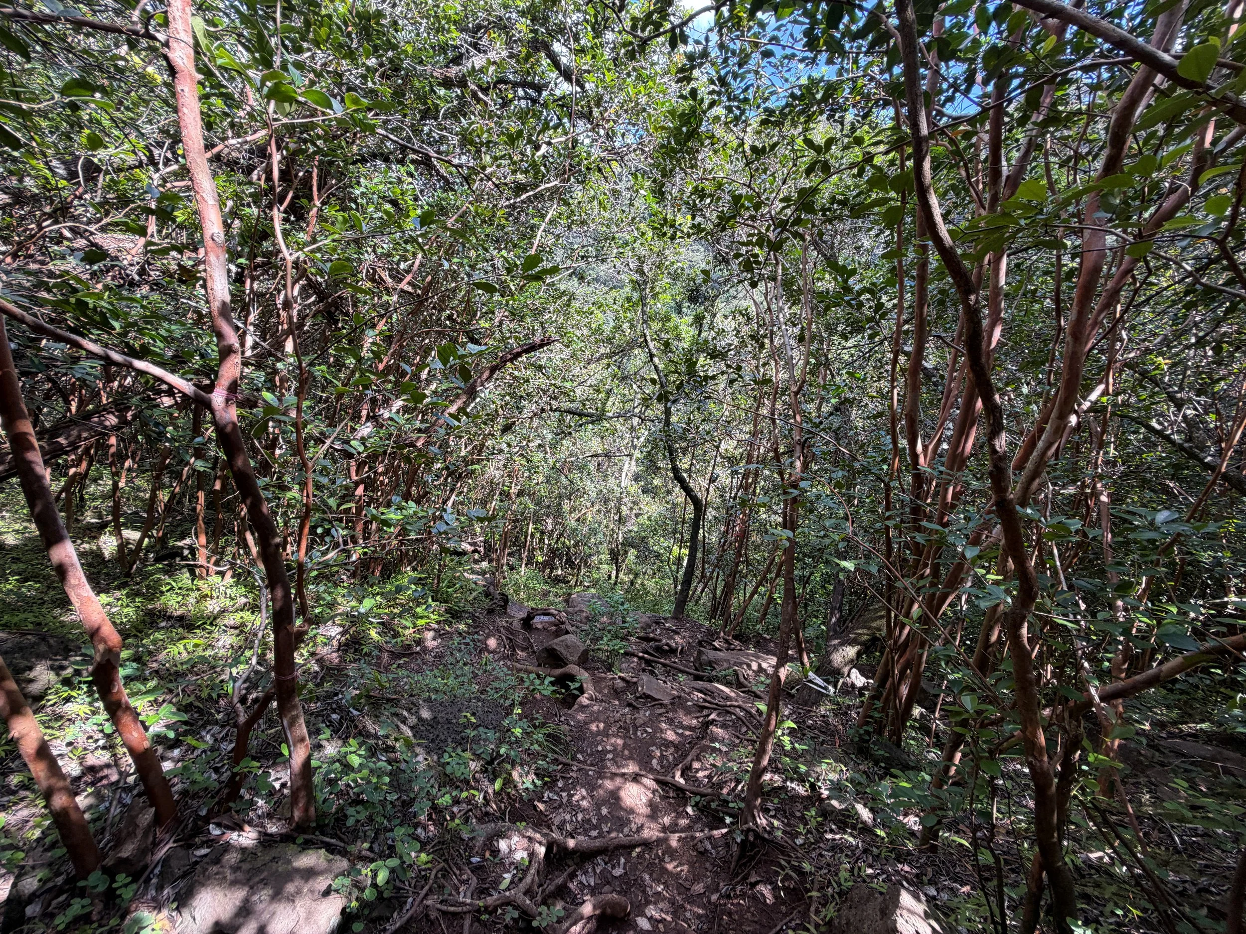 Waimano Pools Hike Oahu Hawaii