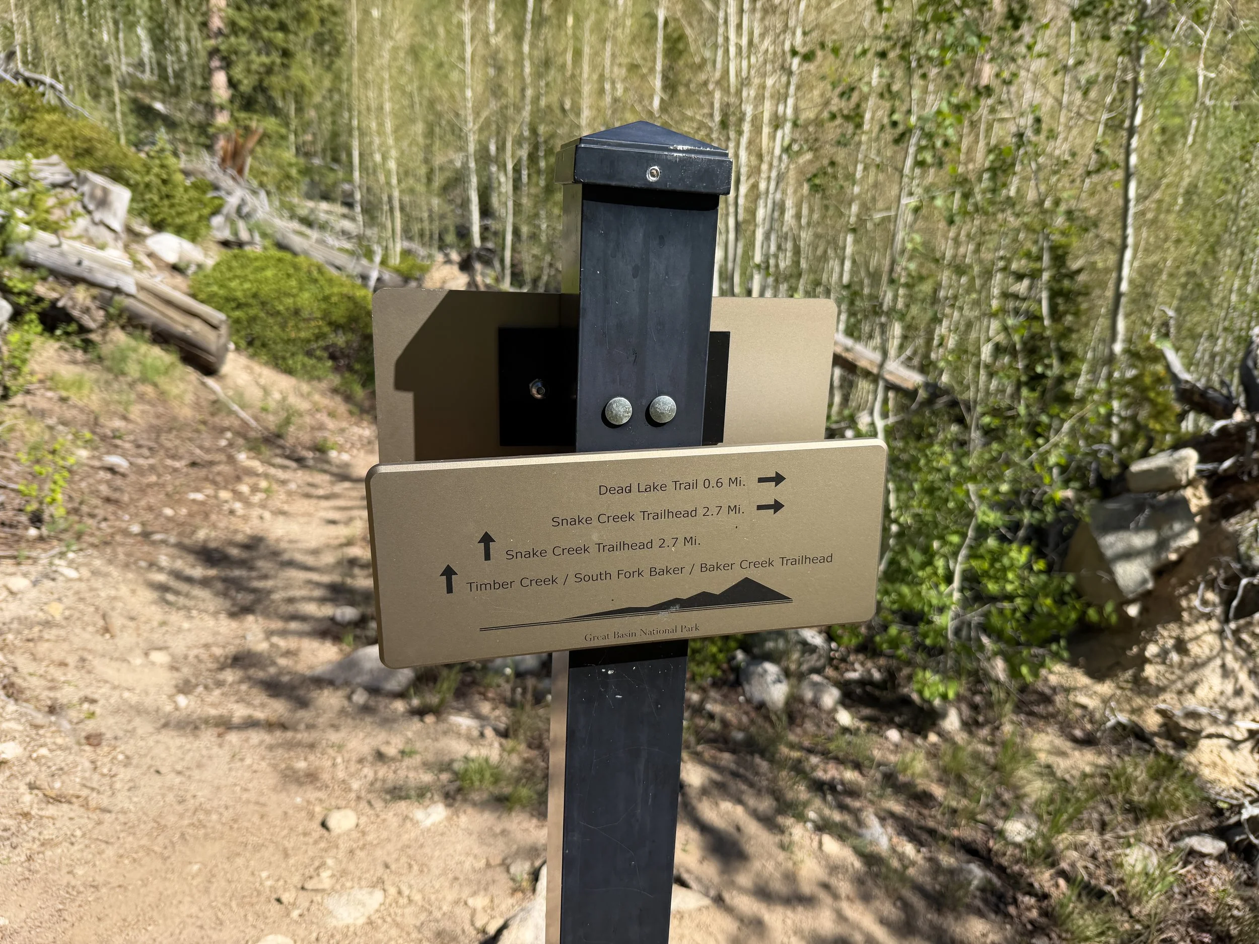 Johnson Lake Trail Great Basin National Park Nevada
