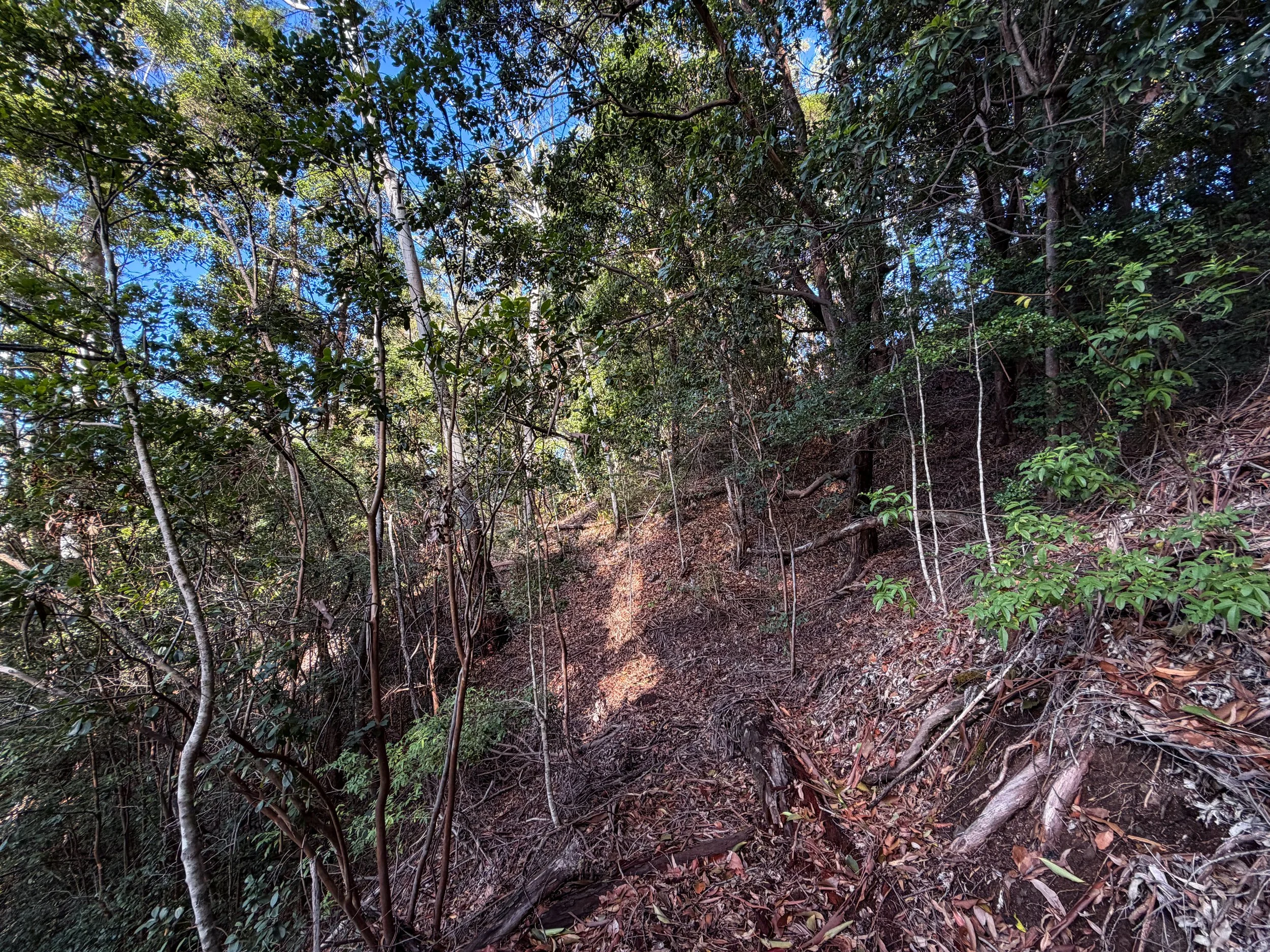 Mokuleia Trail Oahu Hawaii