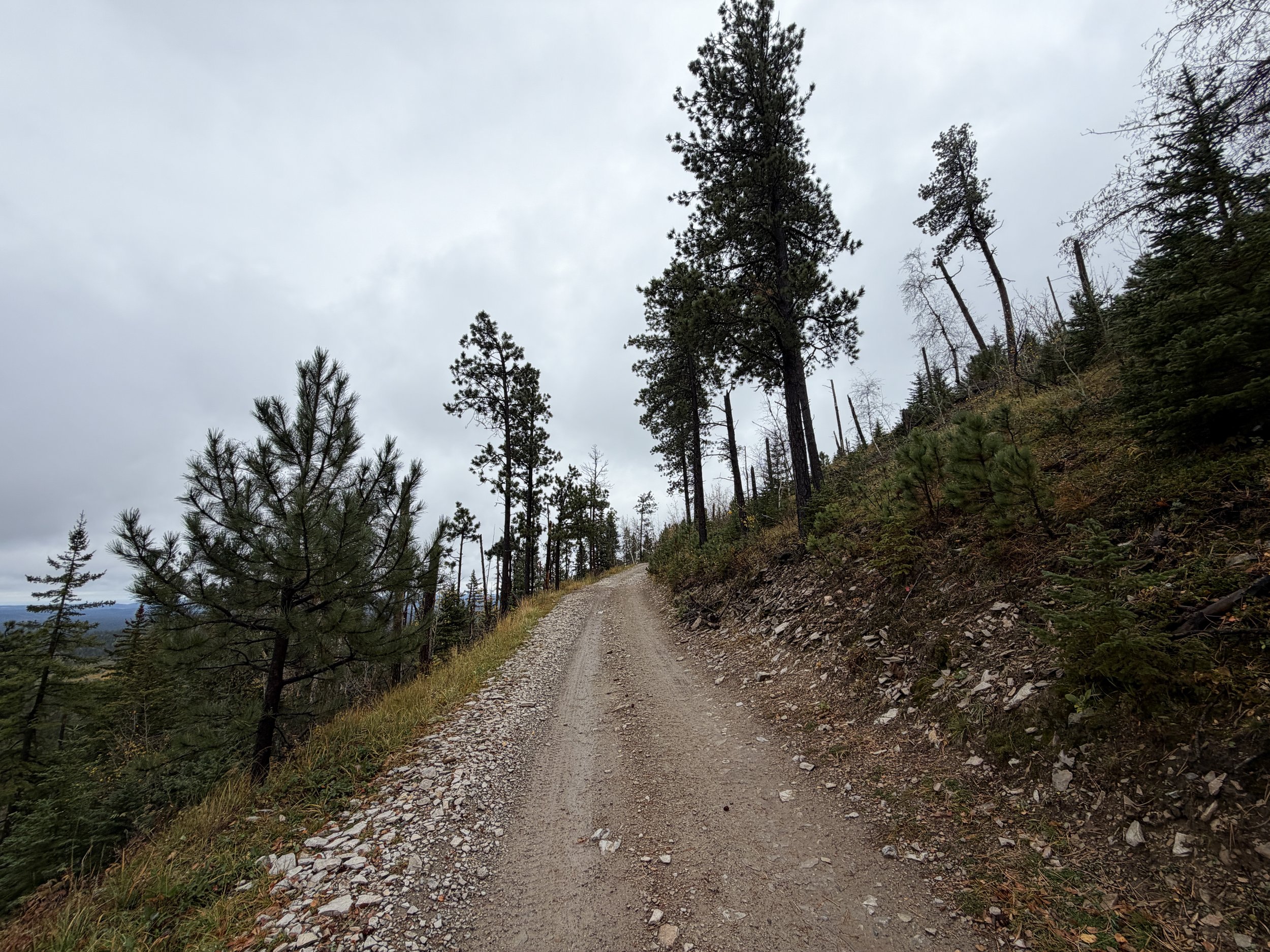 Custer Peak Lookout Hike Black Hills South Dakota