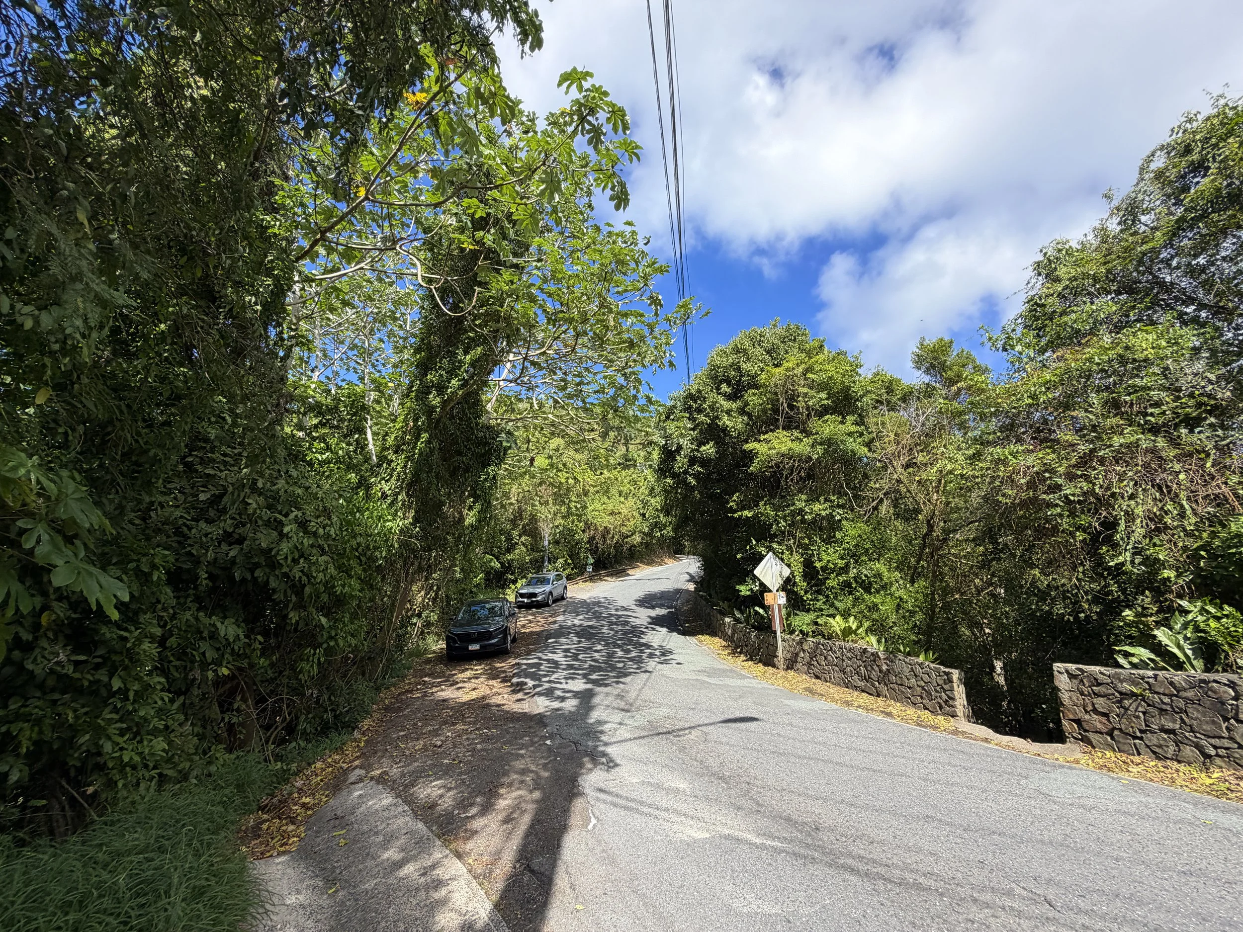 Reef Bay Trailhead Parking Virgin Islands National Park