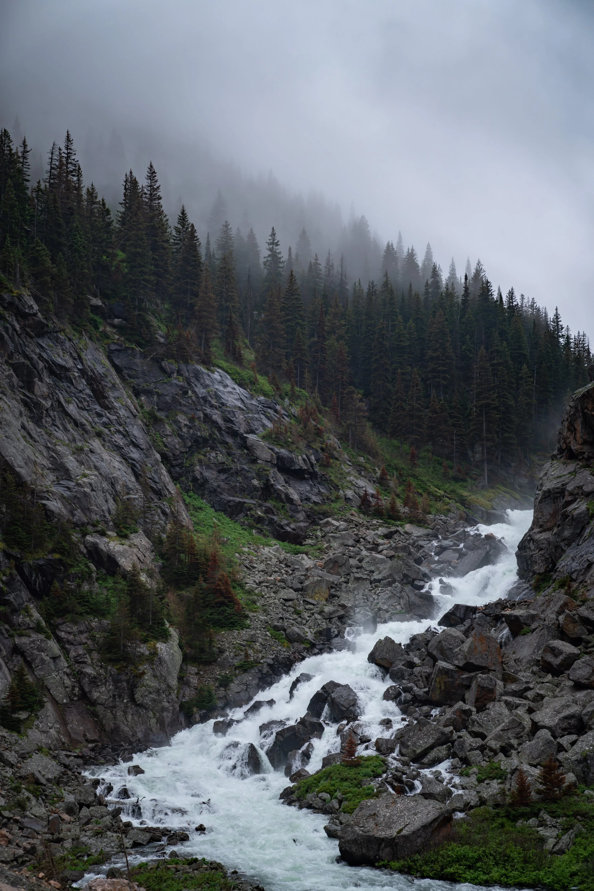 Hiking the Rainbow Lake Trail via East Rosebud in Montana’s Beartooth