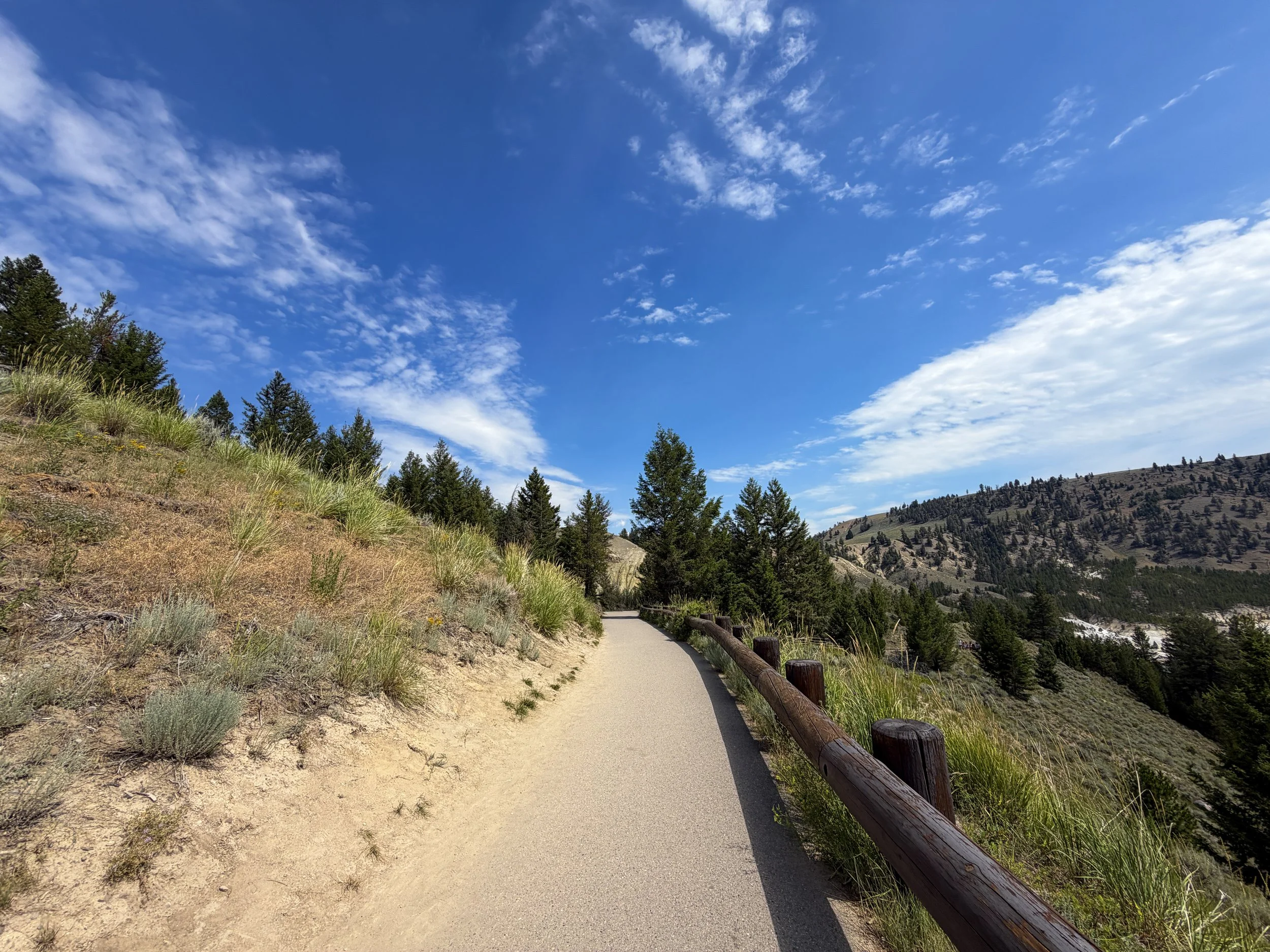 Tower Falls Trail Yellowstone National Park Wyoming