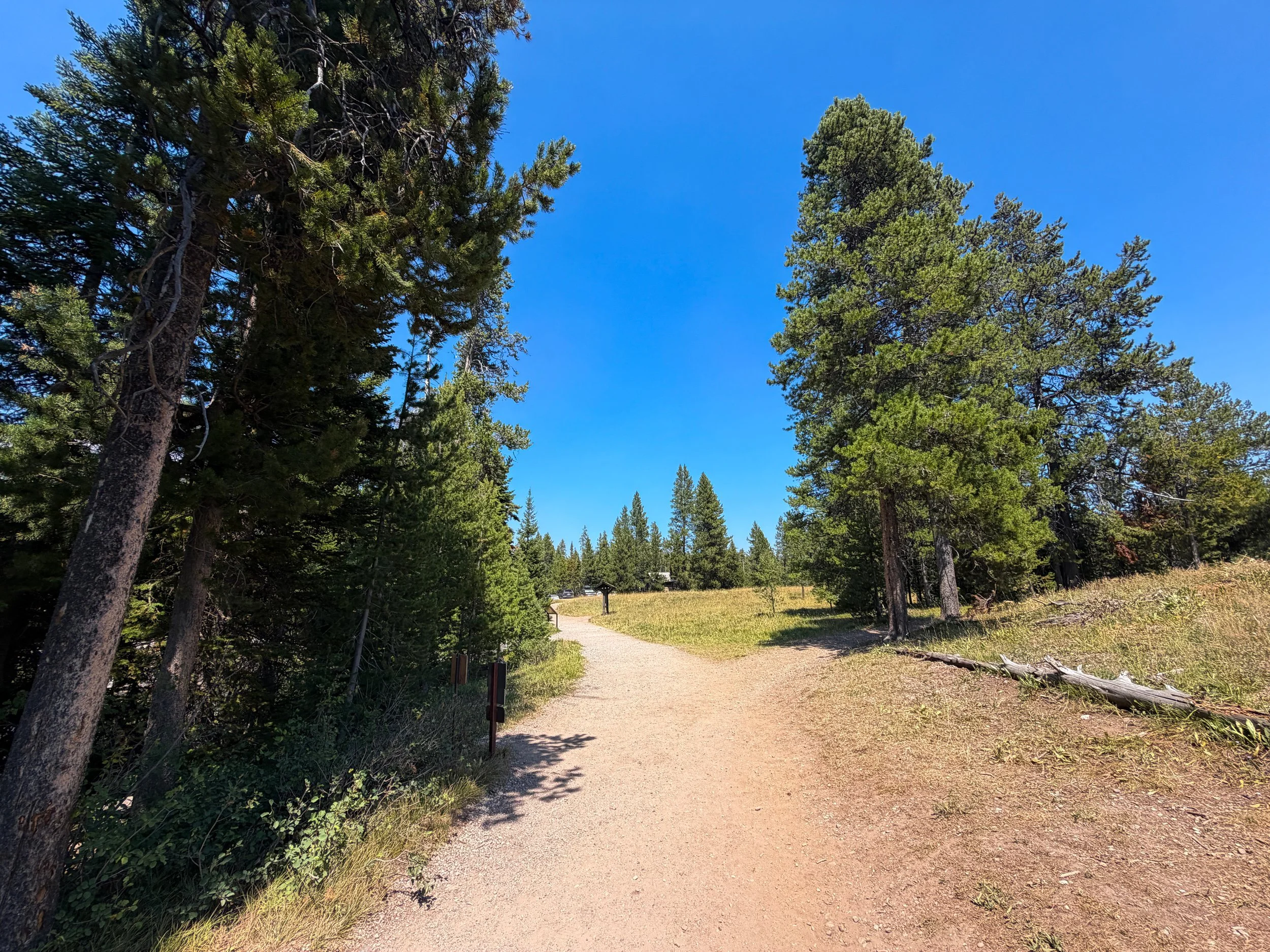 String Lake Loop Trail Grand Teton National Park Wyoming