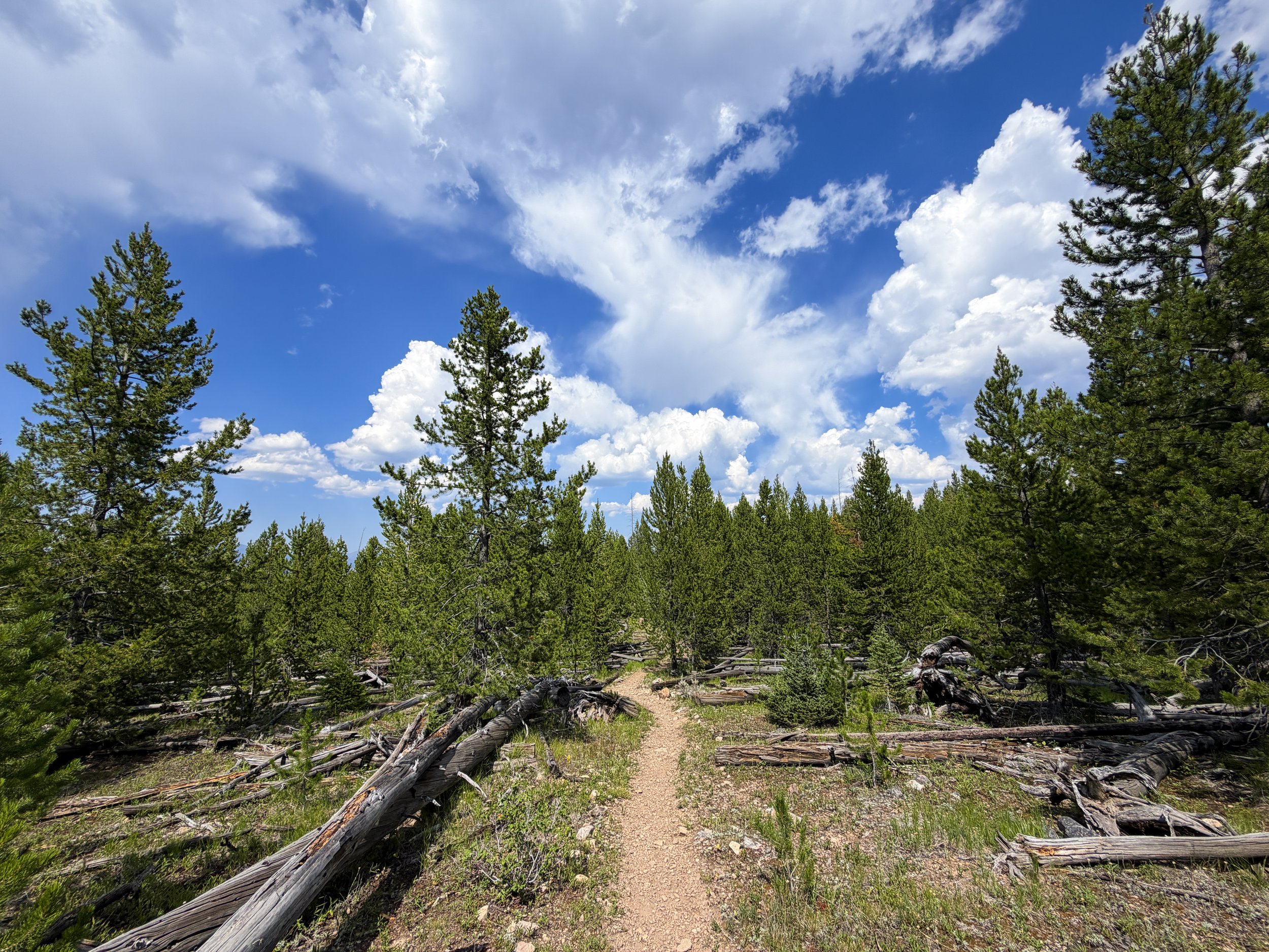 Bunsen Peak Trail Yellowstone National Park Wyoming