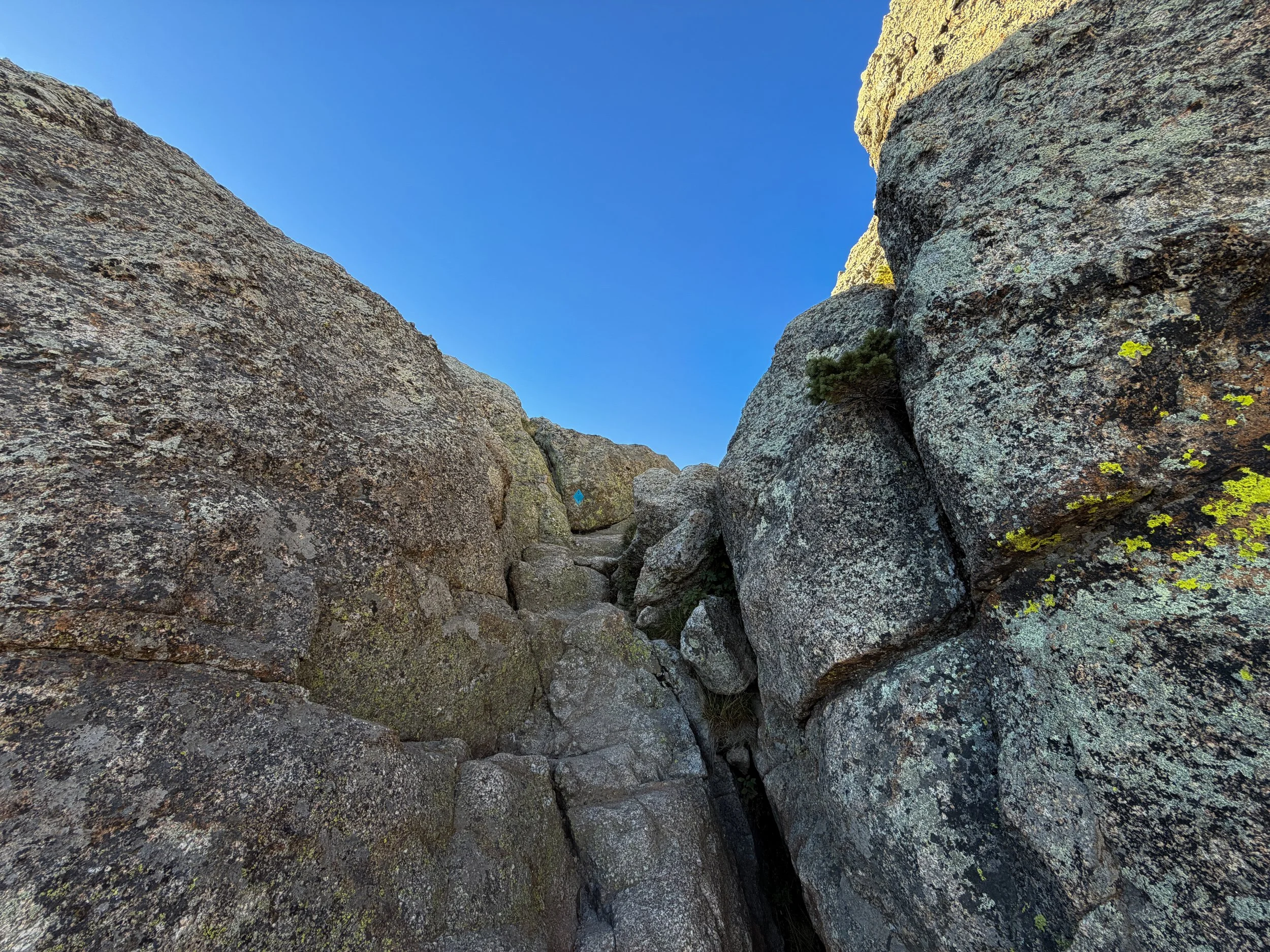 Little Devils Tower Trail Scrambling Custer State Park Black Hills South Dakota