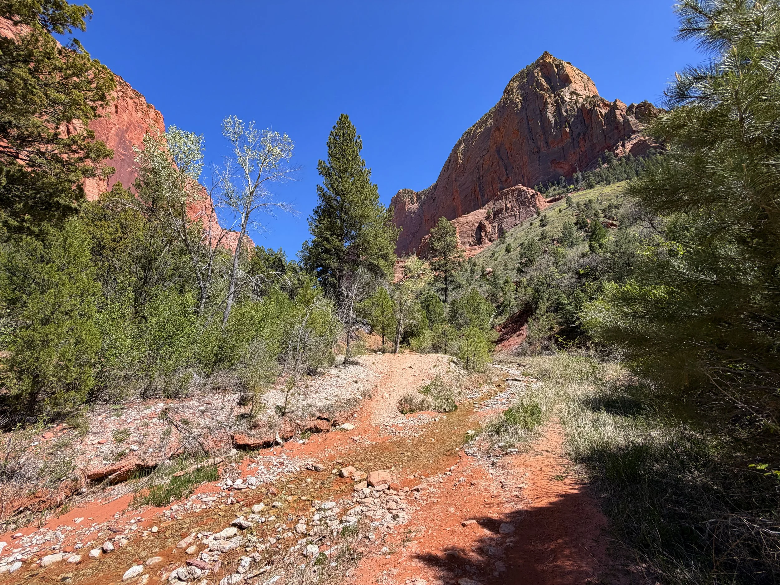 Taylor Creek Trail Zion National Park Utah