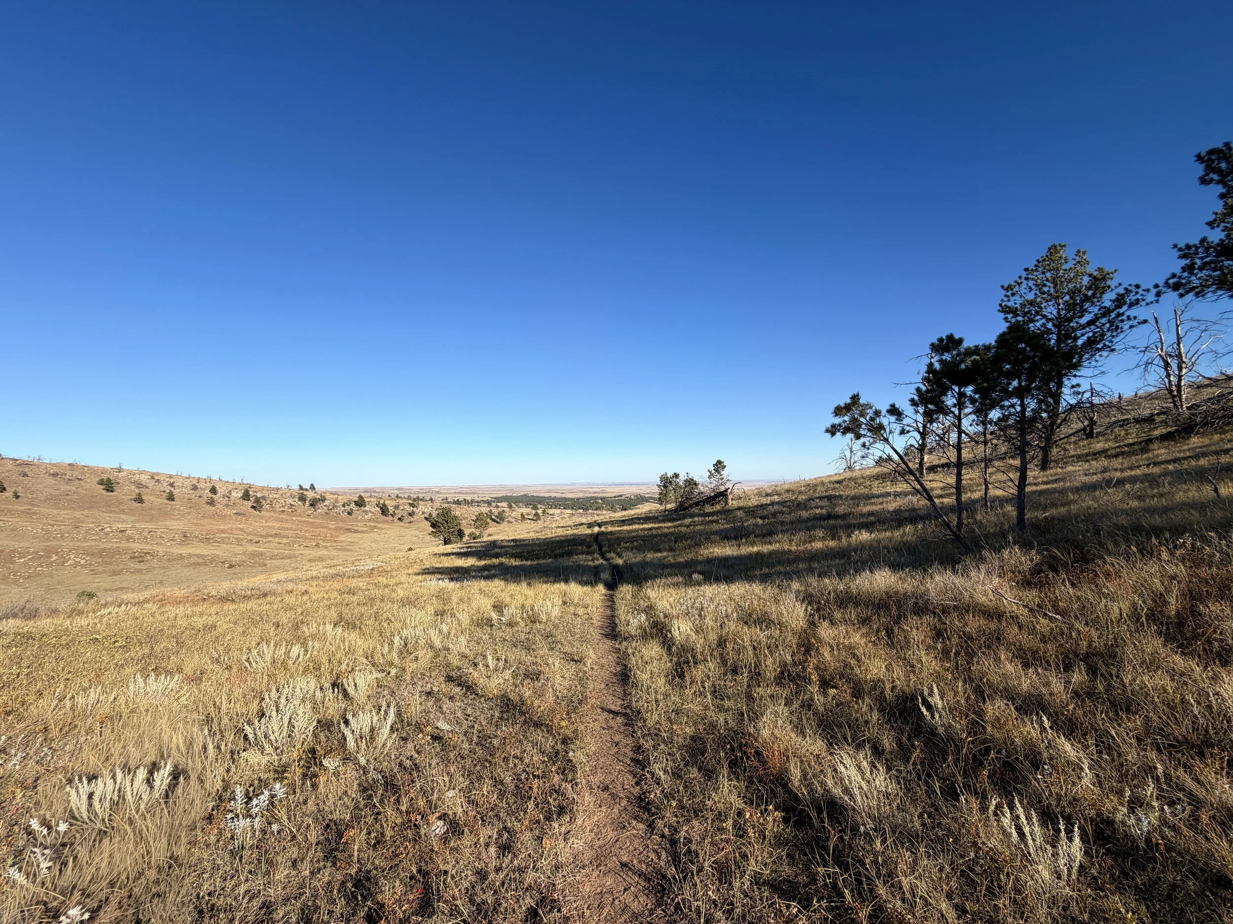 Boland Ridge Trail Wind Cave National Park South Dakota