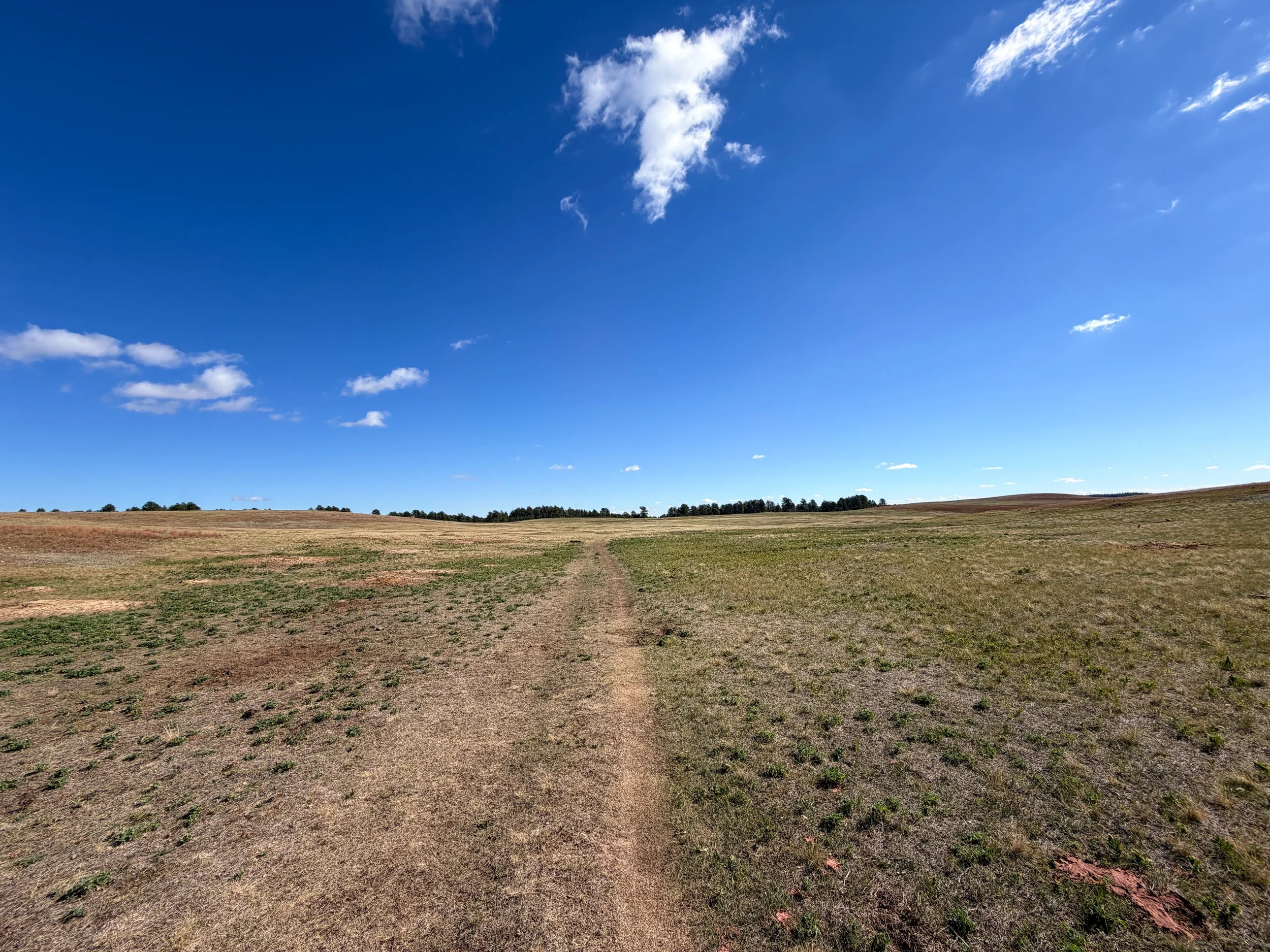 Lookout Point Hike Wind Cave National Park South Dakota