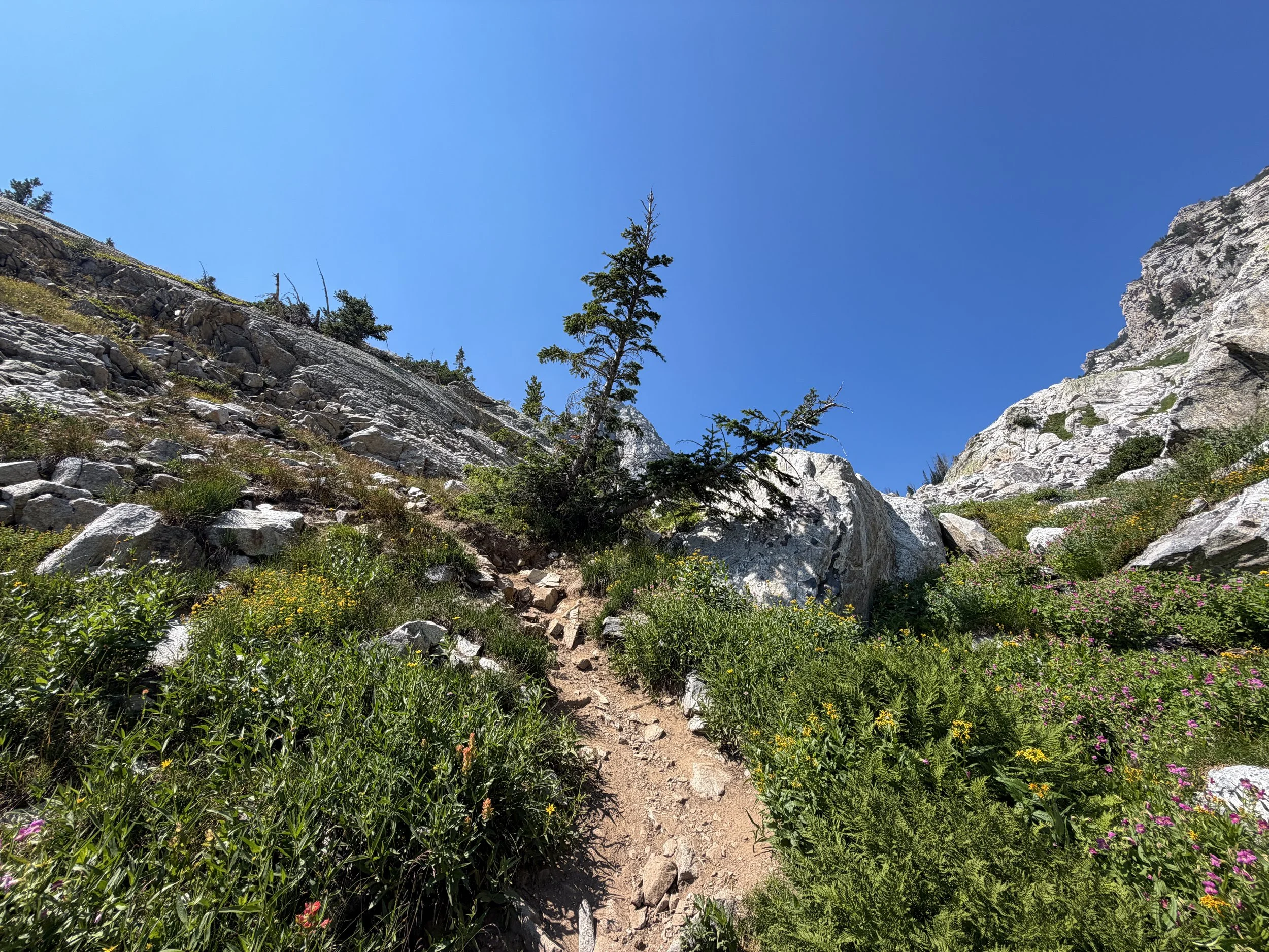 Lake of the Crags Trail Grand Teton National Park Wyoming