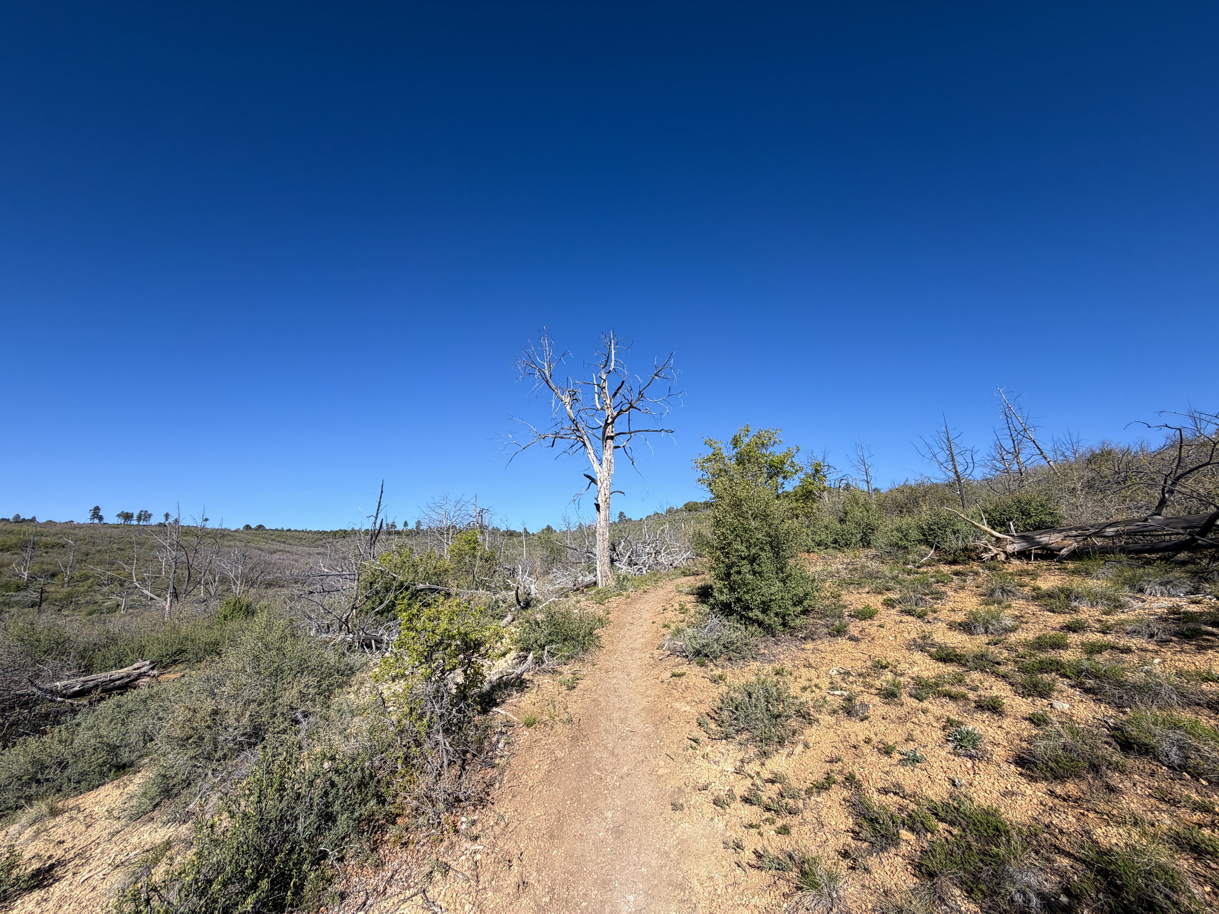 Deertrap Mountain Hike Zion National Park Utah