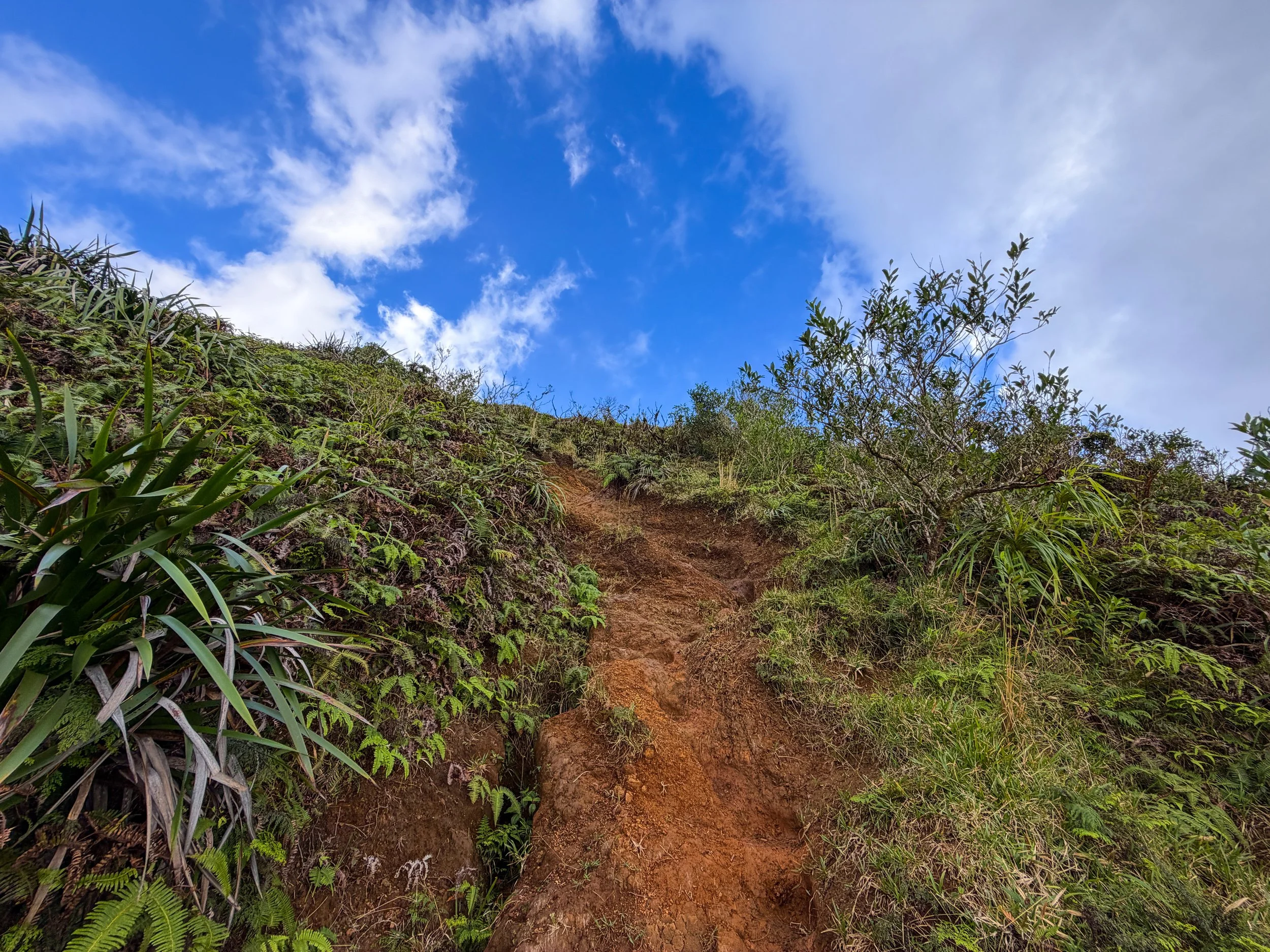 Kaau Crater Trail Oahu Hawaii