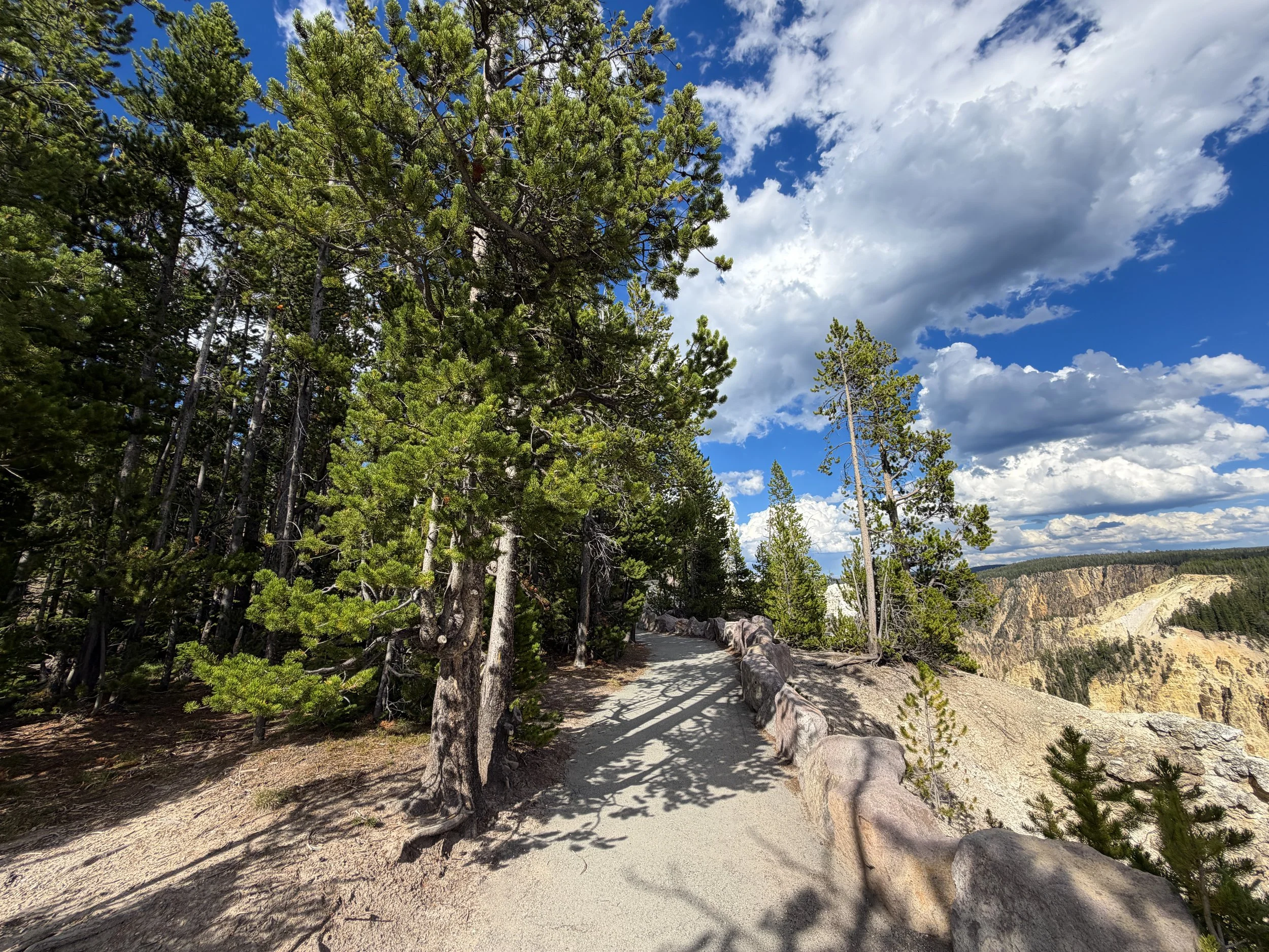 North Rim Trail Yellowstone National Park Wyoming