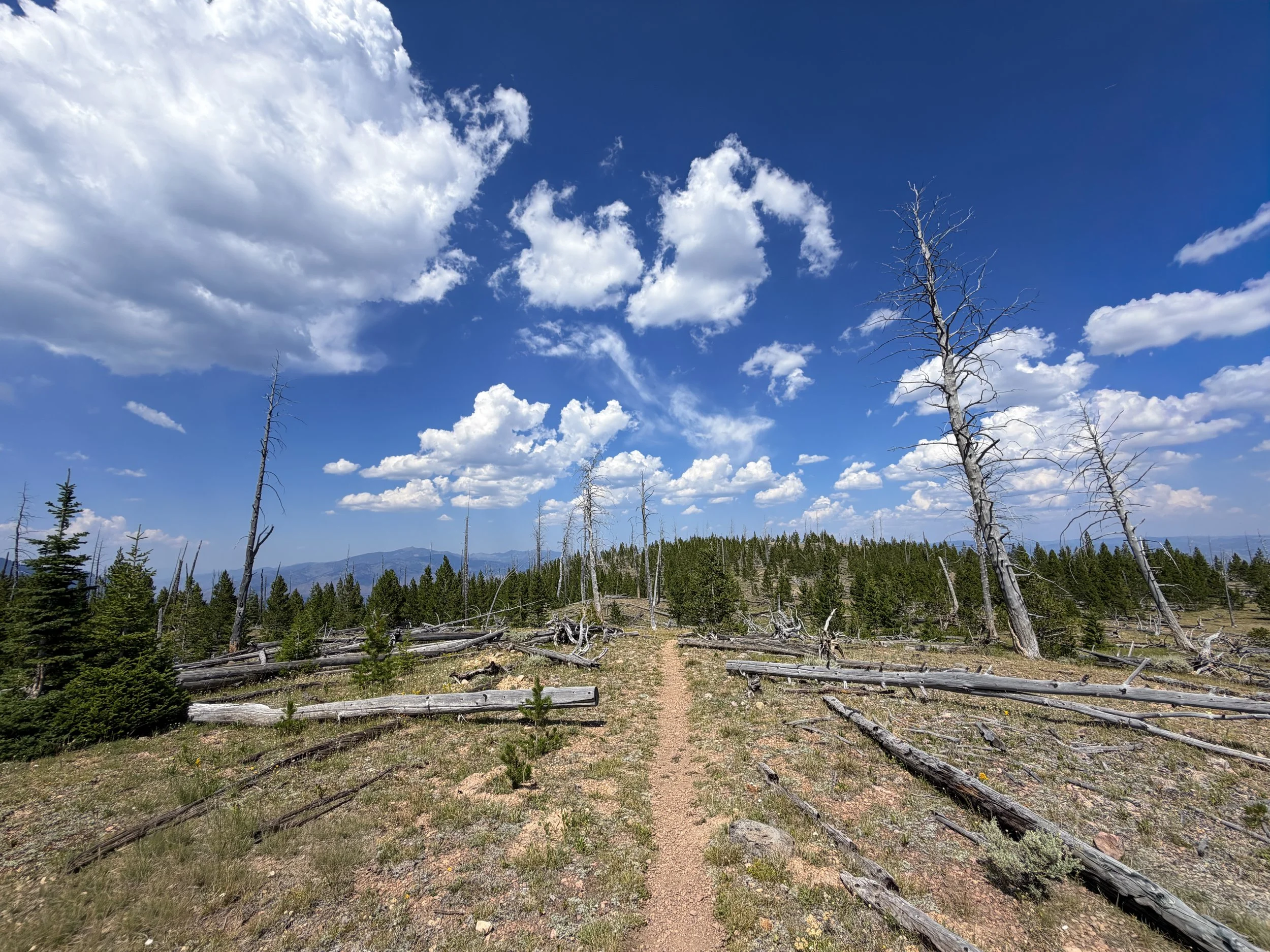 Bunsen Peak Trail to Osprey Falls Yellowstone National Park Wyoming