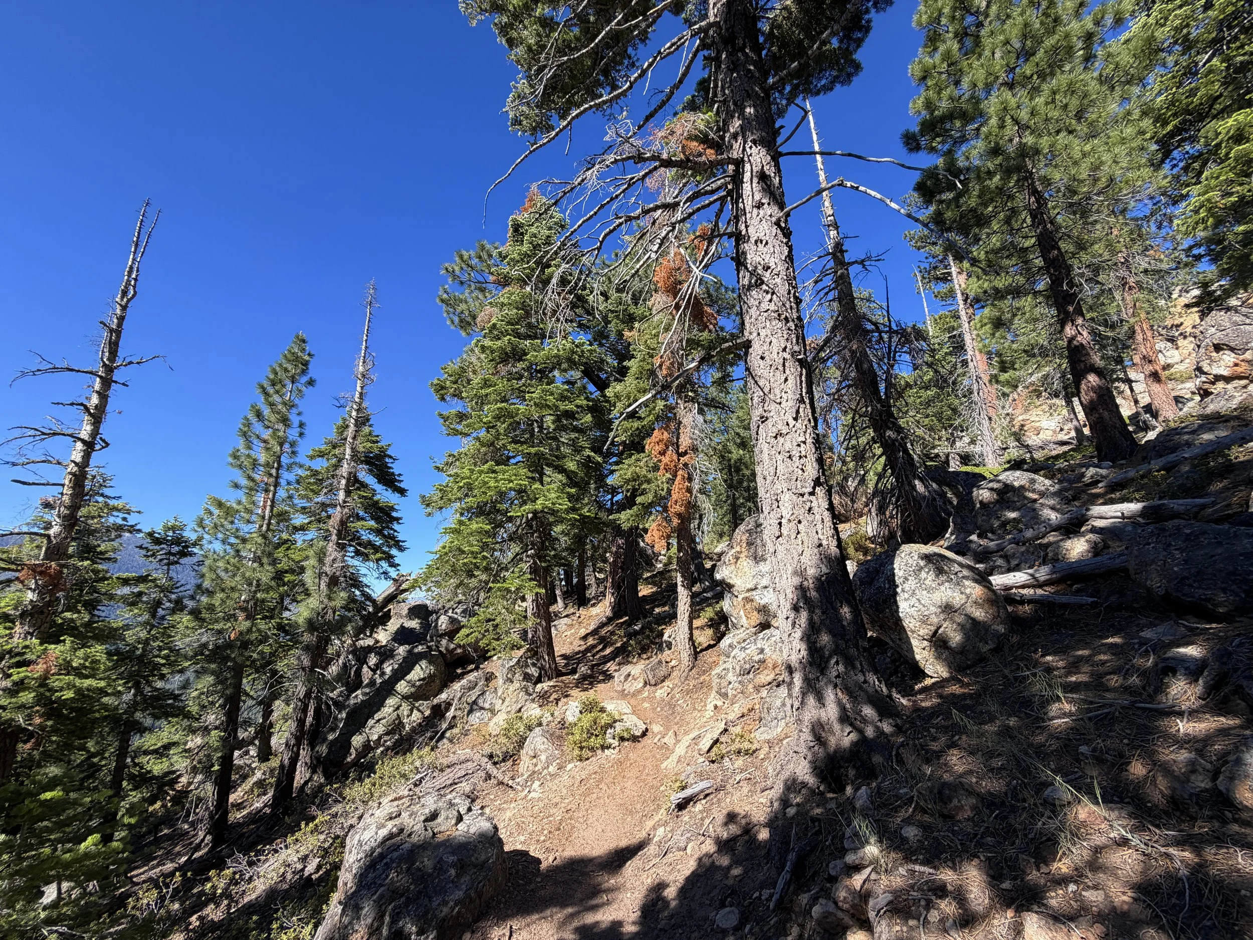 Castle Rock Hike Lake Tahoe Nevada