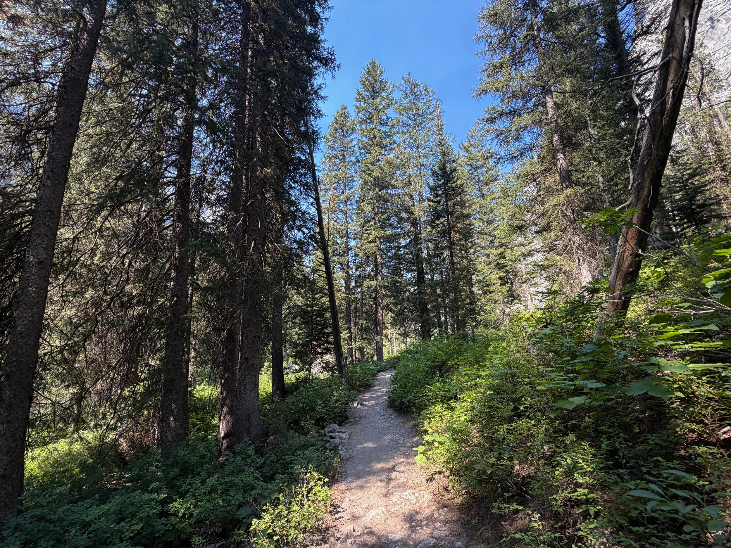 Cascade Canyon Trail via Inspiration Point Grand Teton National Park Wyoming