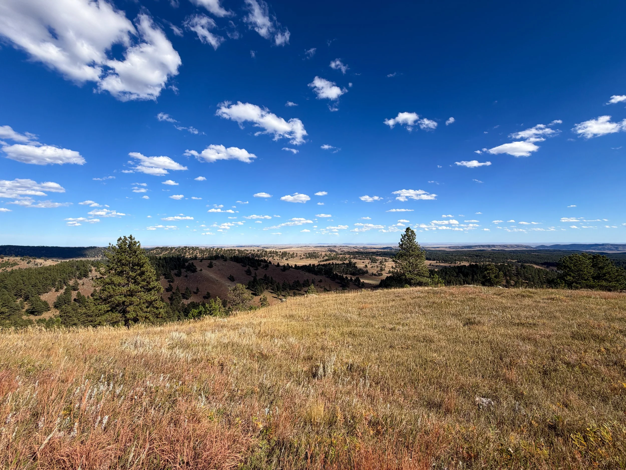 Rankin Ridge Trail Wind Cave National Park South Dakota