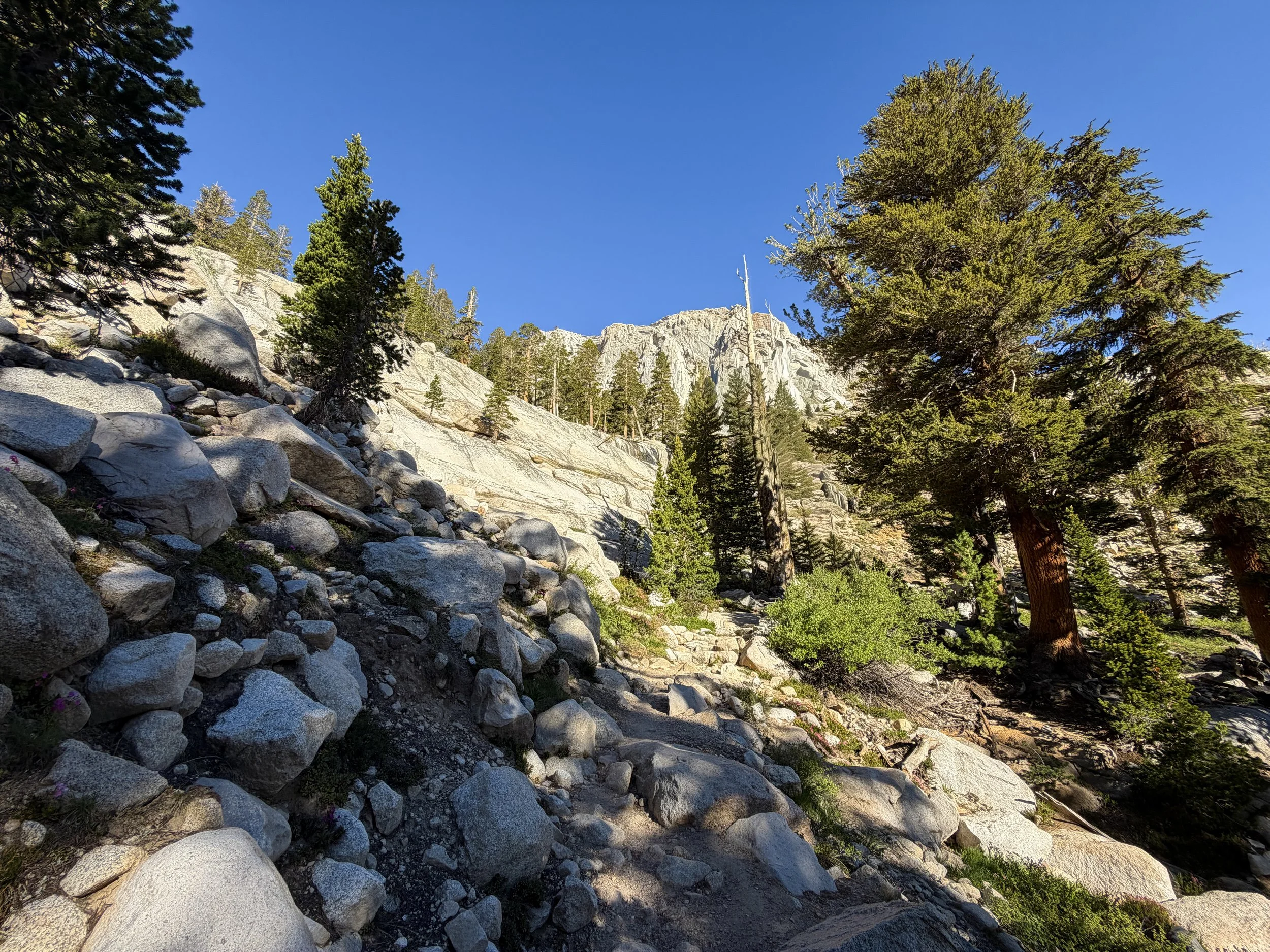 Mt. Whitney Trail California