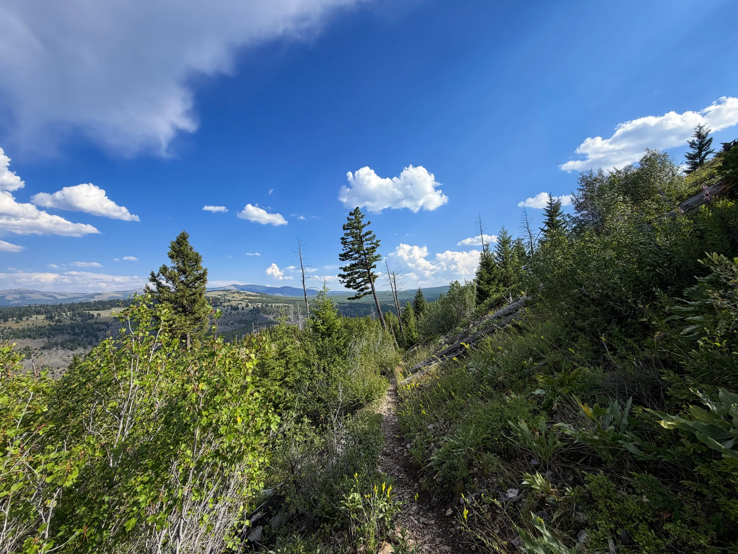Bunsen Peak Trail Yellowstone National Park Wyoming