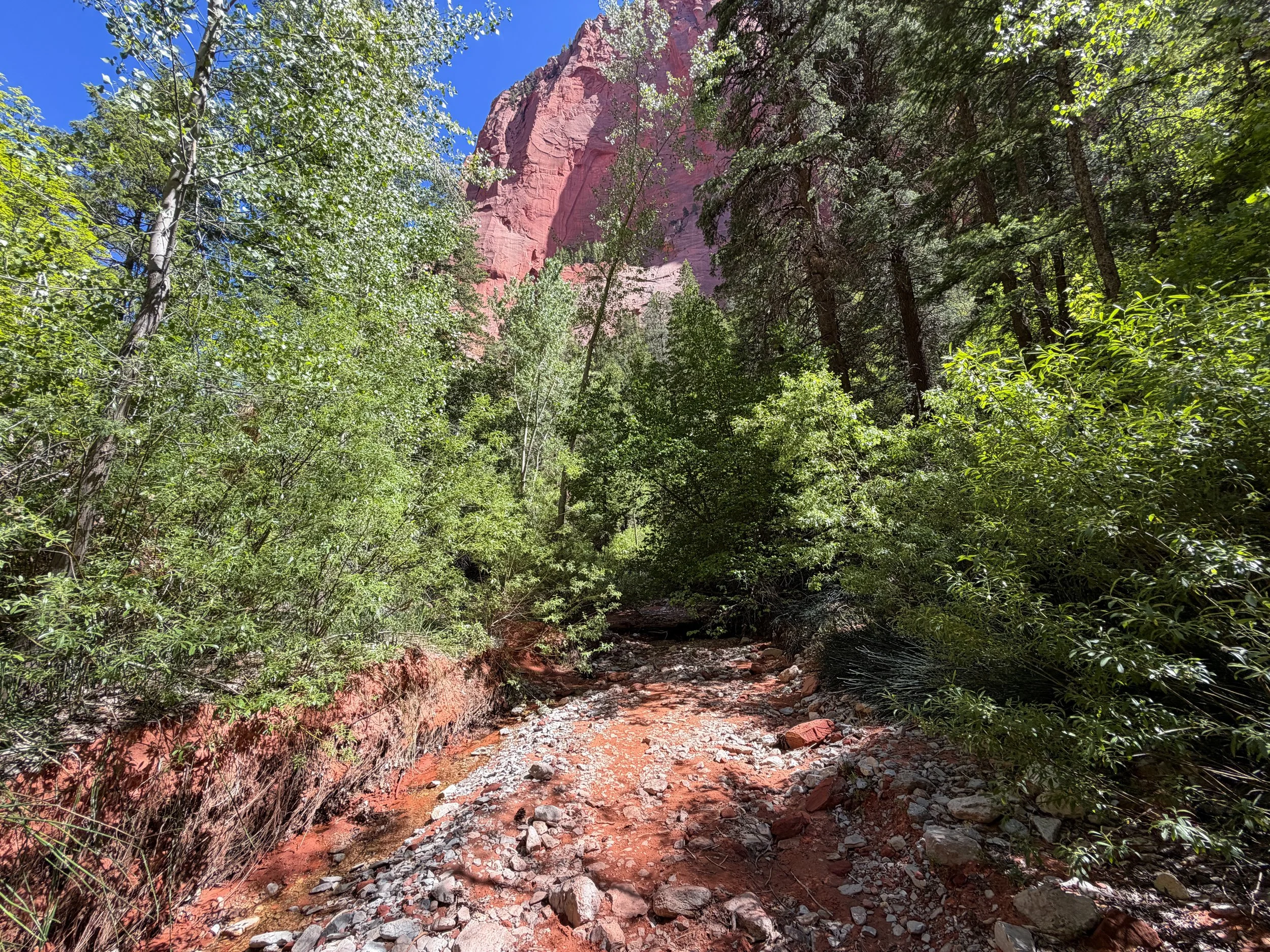 Middle Taylor Creek Trail Zion National Park Utah
