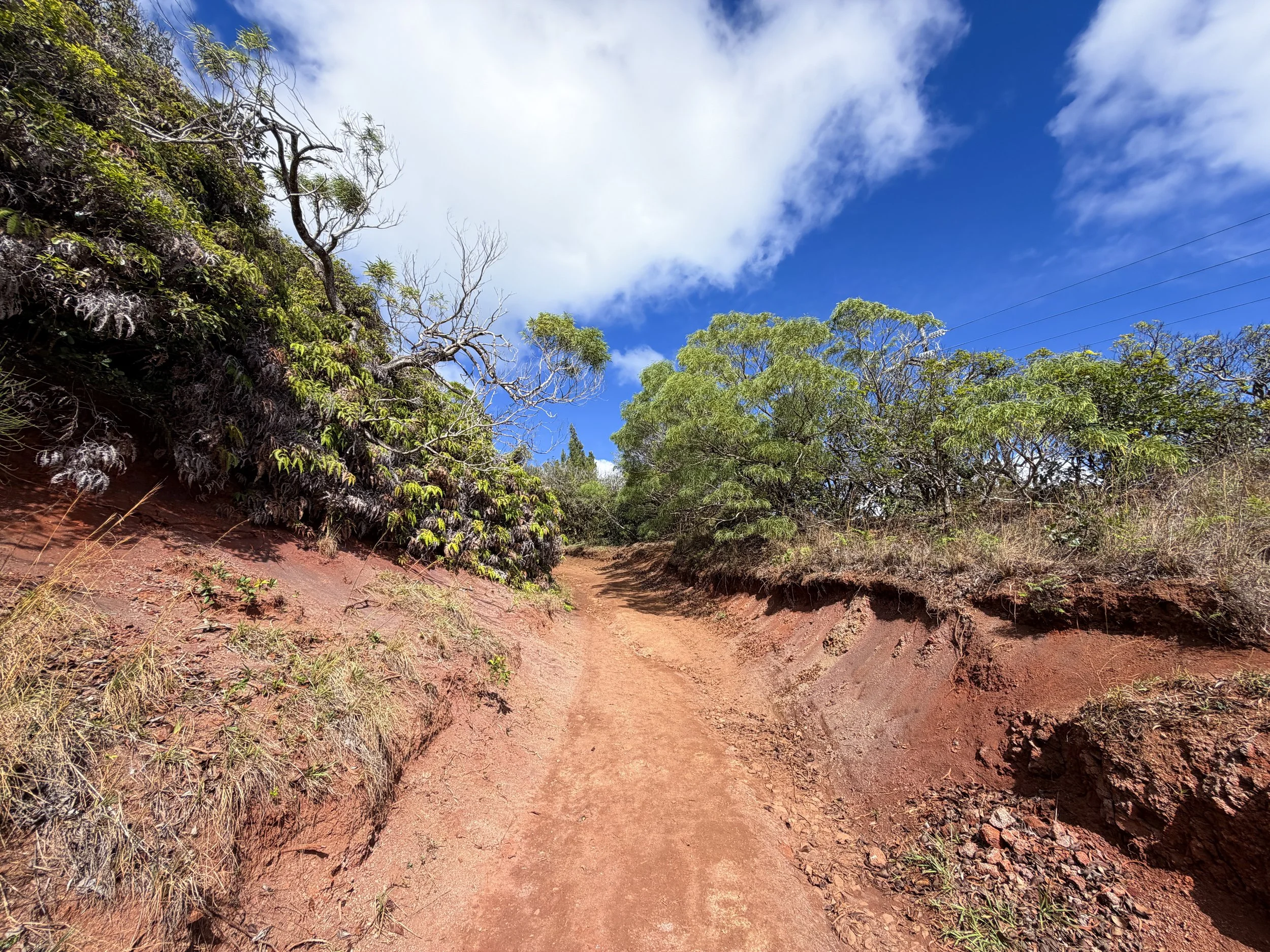 Wiliwilinui Ridge Trail Oahu Hawaii