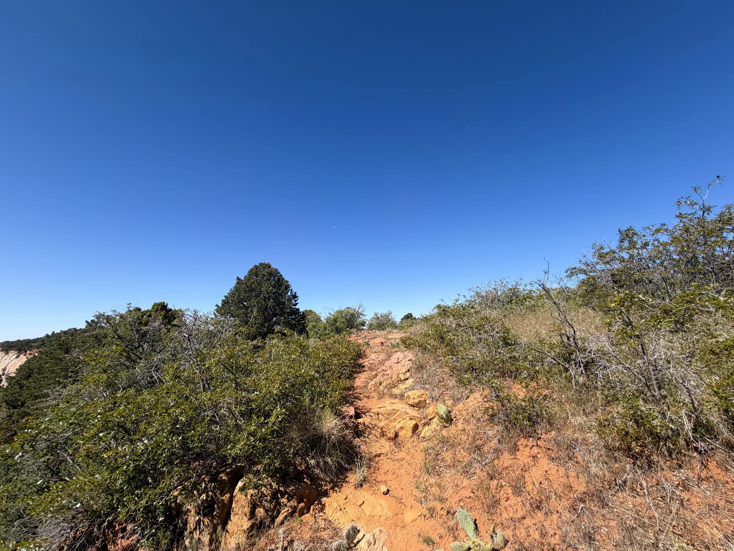 Deertrap Mountain Trail Zion National Park Utah
