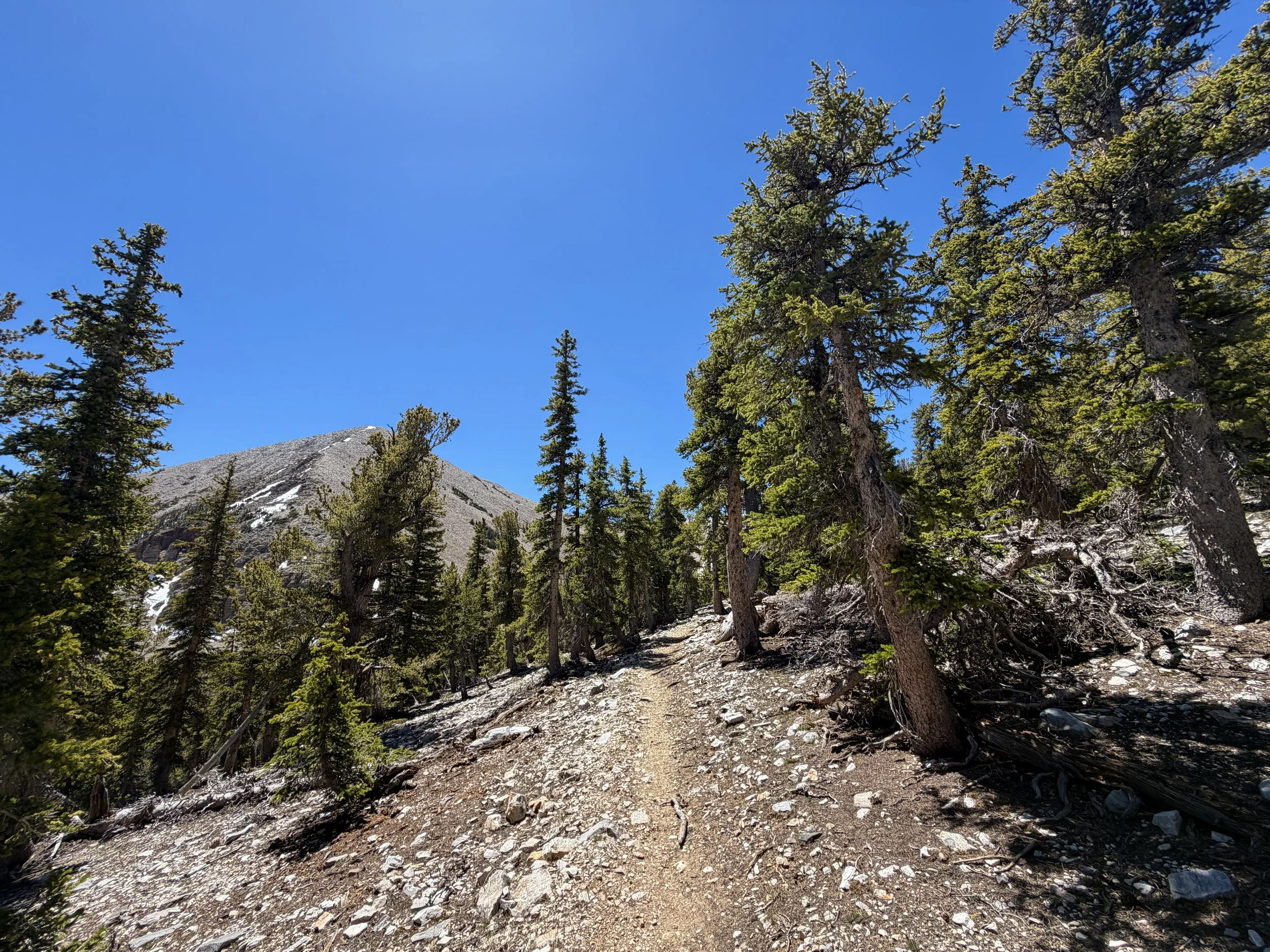 Baker Lake Trail Great Basin National Park Nevada