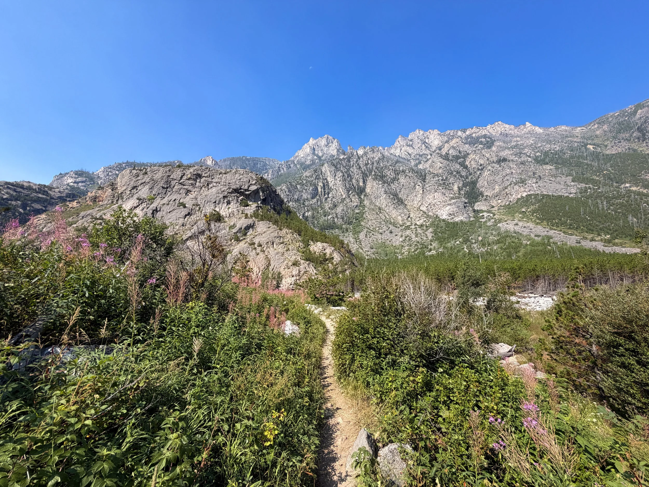 Beaten Path Trail Beartooth Mountains Montana