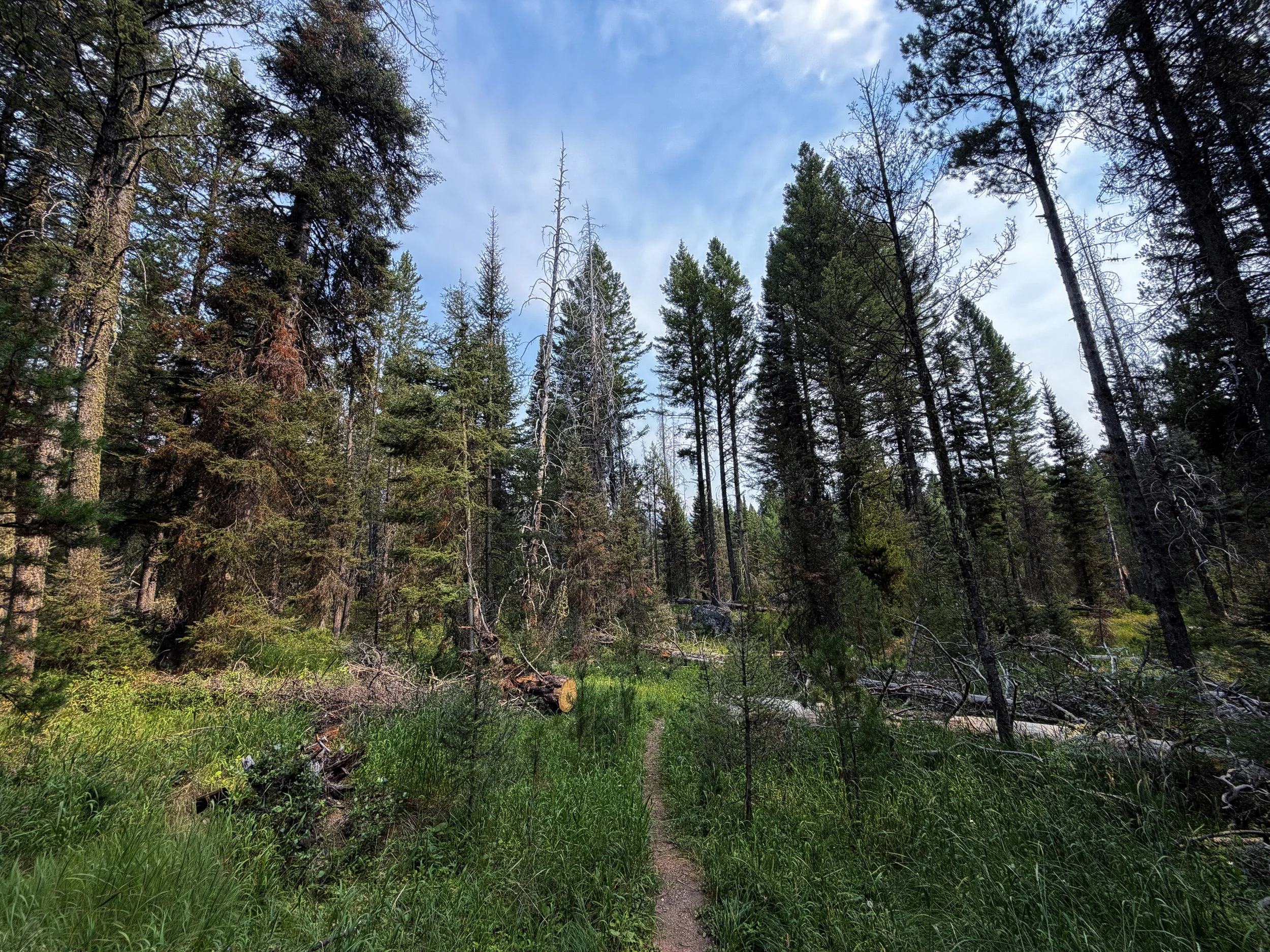 Aspen Ridge Trail Grand Teton National Park Wyoming