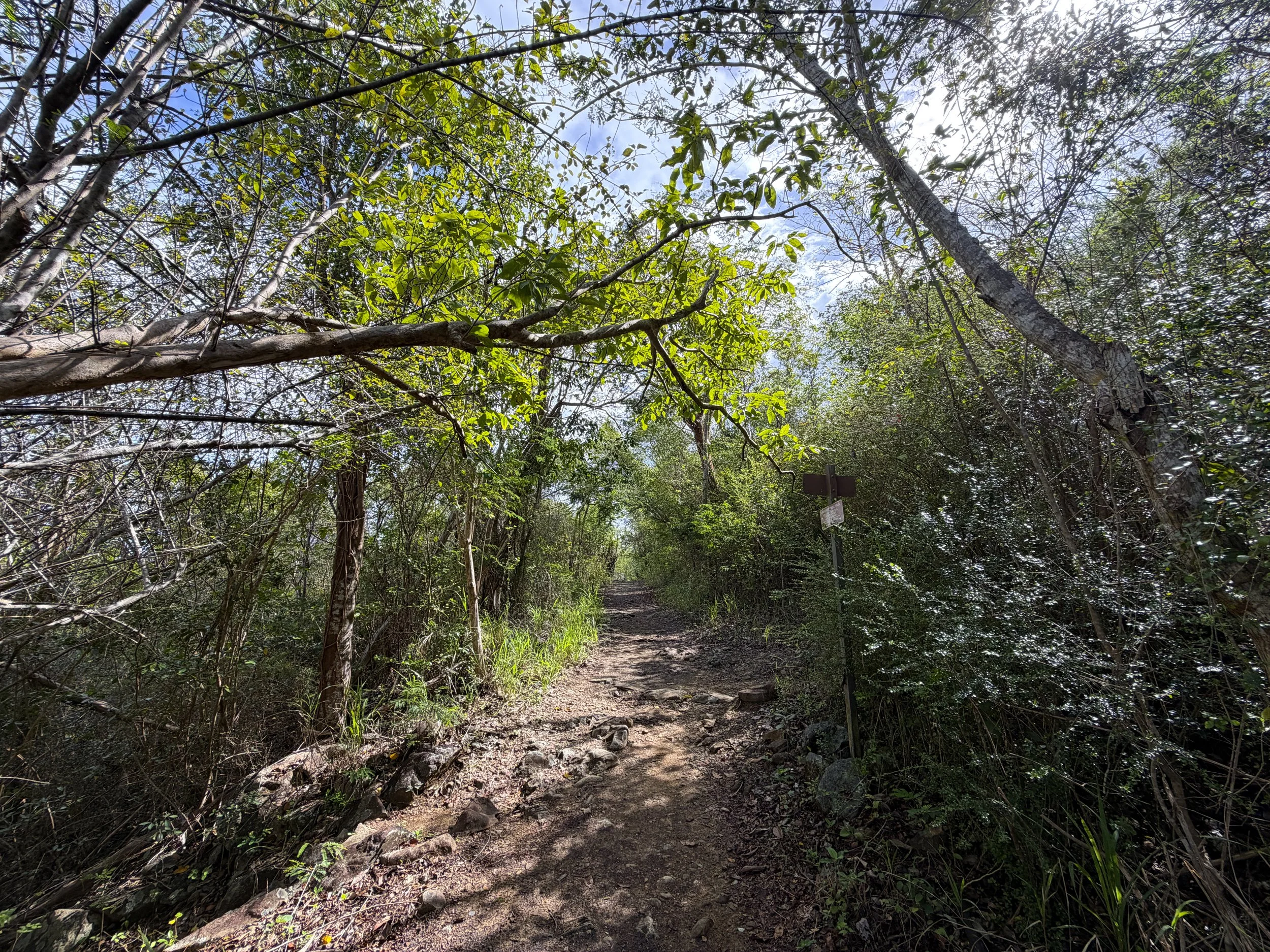 Lind Point Loop Trail Virgin Islands National Park