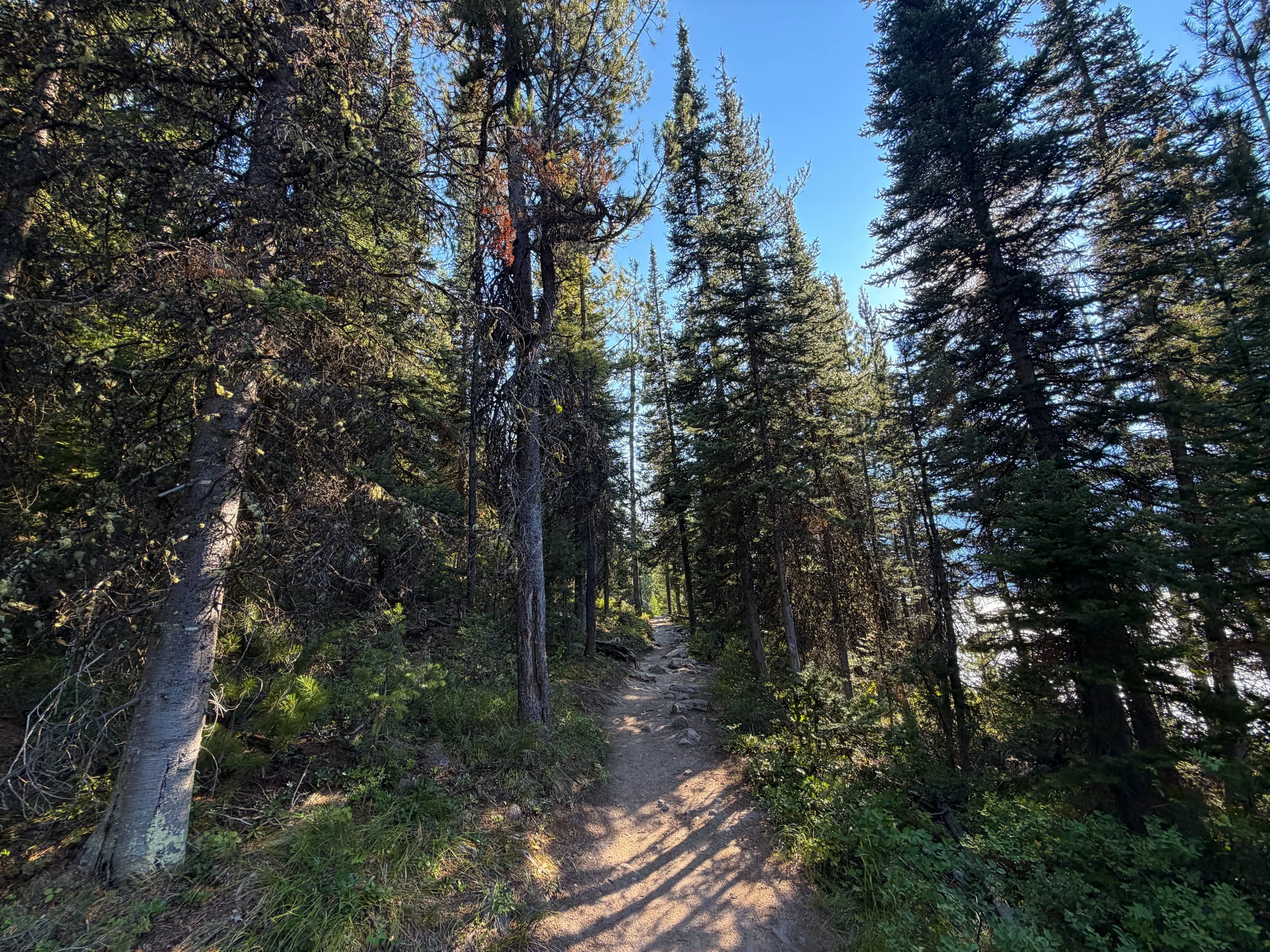 Jenny Lake Loop Trail Grand Teton National Park Wyoming
