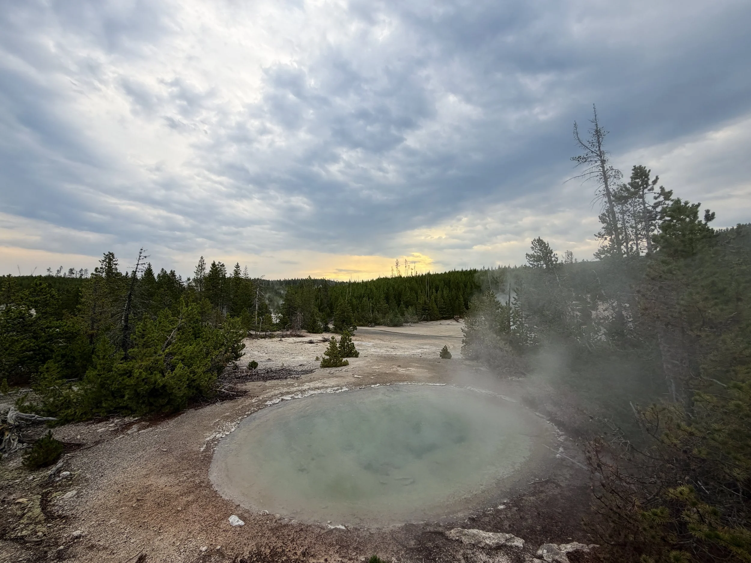 Yellow Funnel Spring Norris Geyser Basin Trail Yellowstone National Park Wyoming