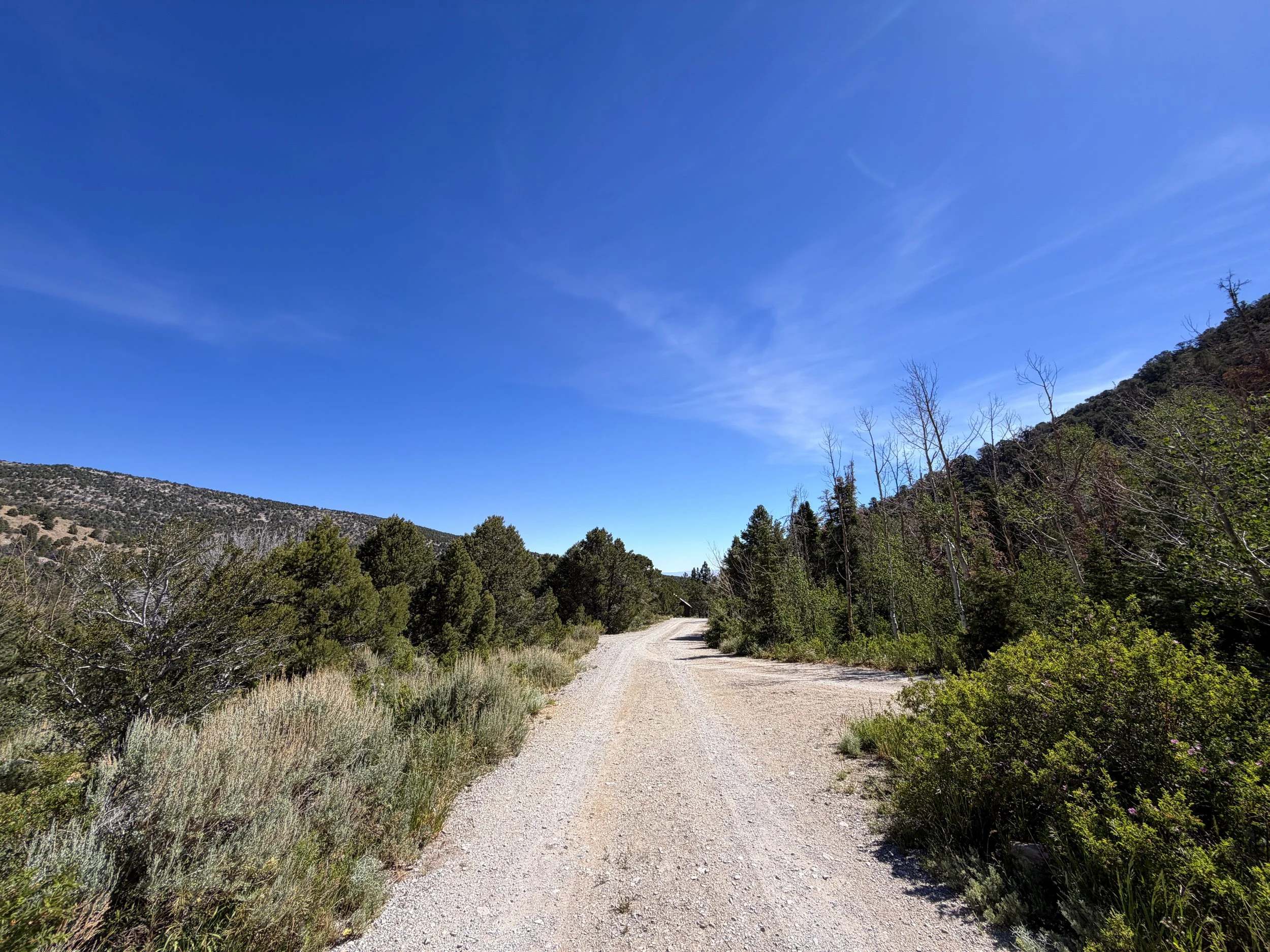 Baker Creek Campground Pole Canyon Loop Trail Great Basin National Park Nevada