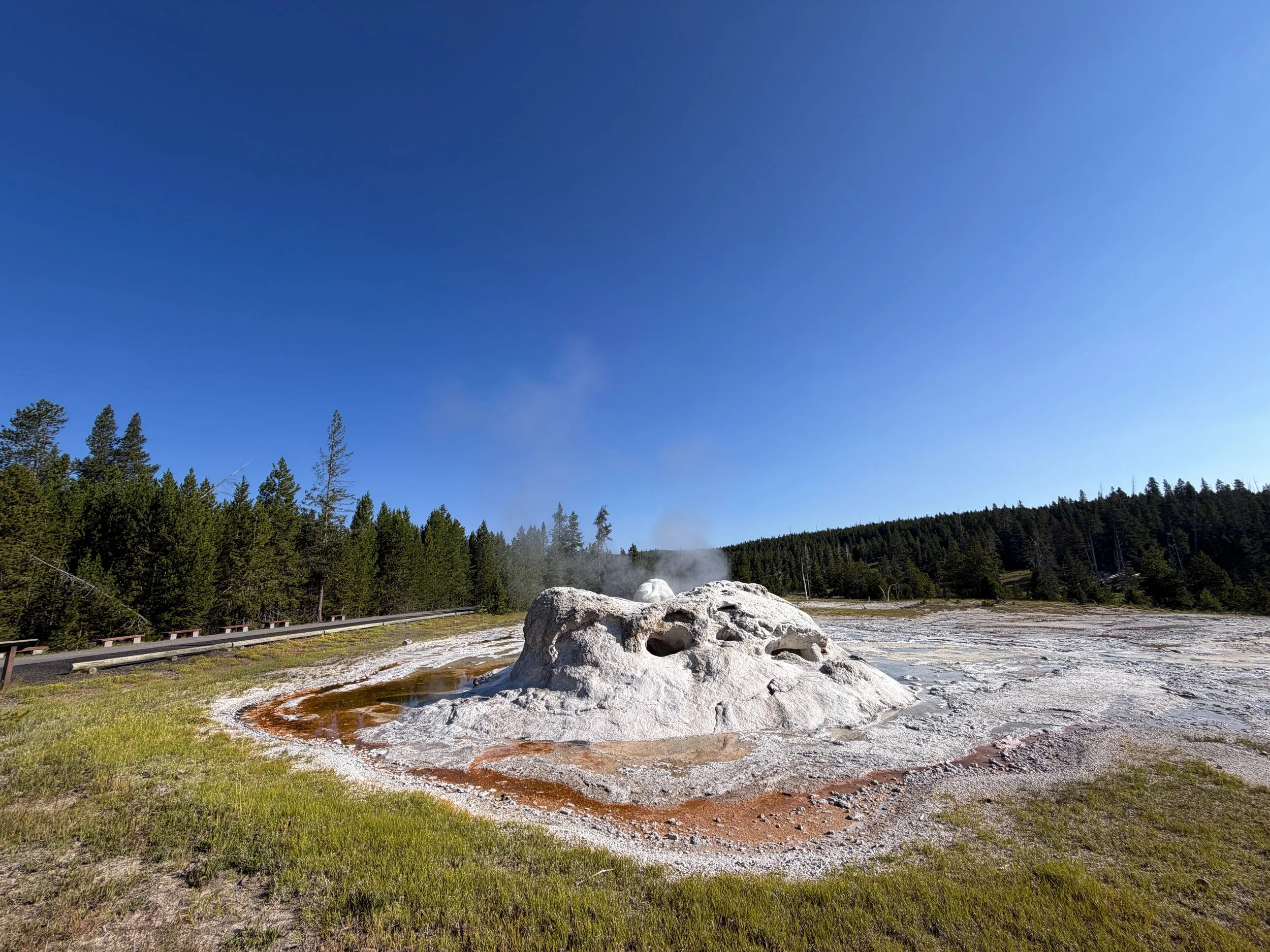 Grotto Geyser Yellowstone National Park Wyoming