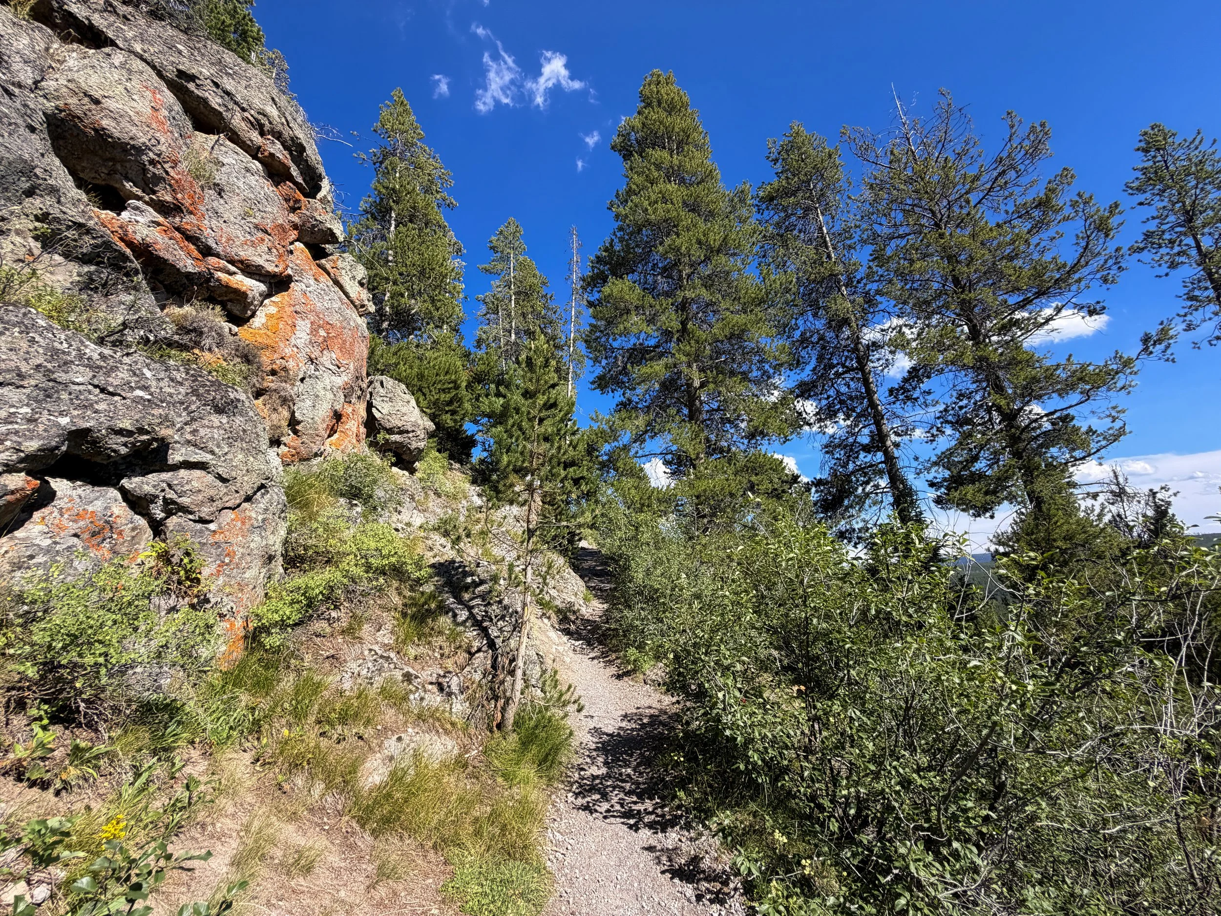 Observation Point Loop Trail Yellowstone National Park Wyoming