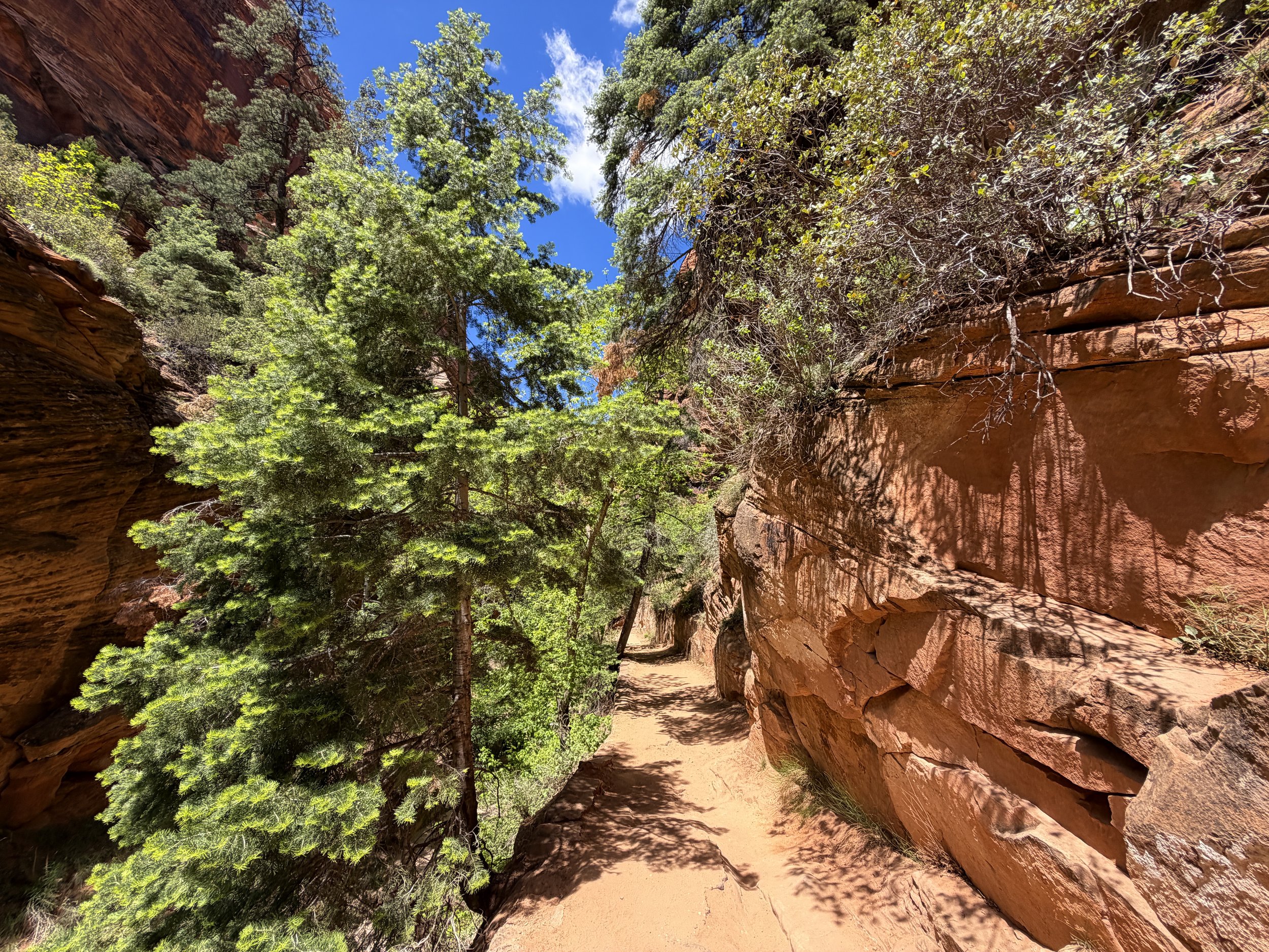 Angels Landing Hike Zion National Park Utah