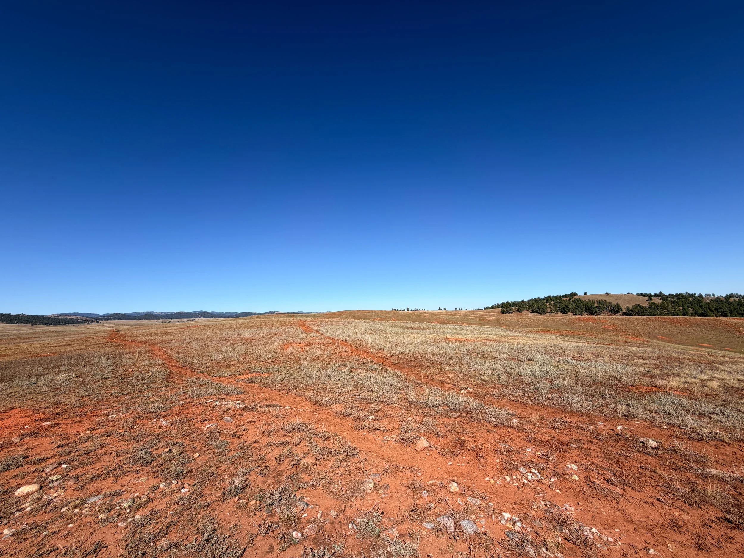 East Bison Flats to Wind Cave Canyon Trail Wind Cave National Park South Dakota
