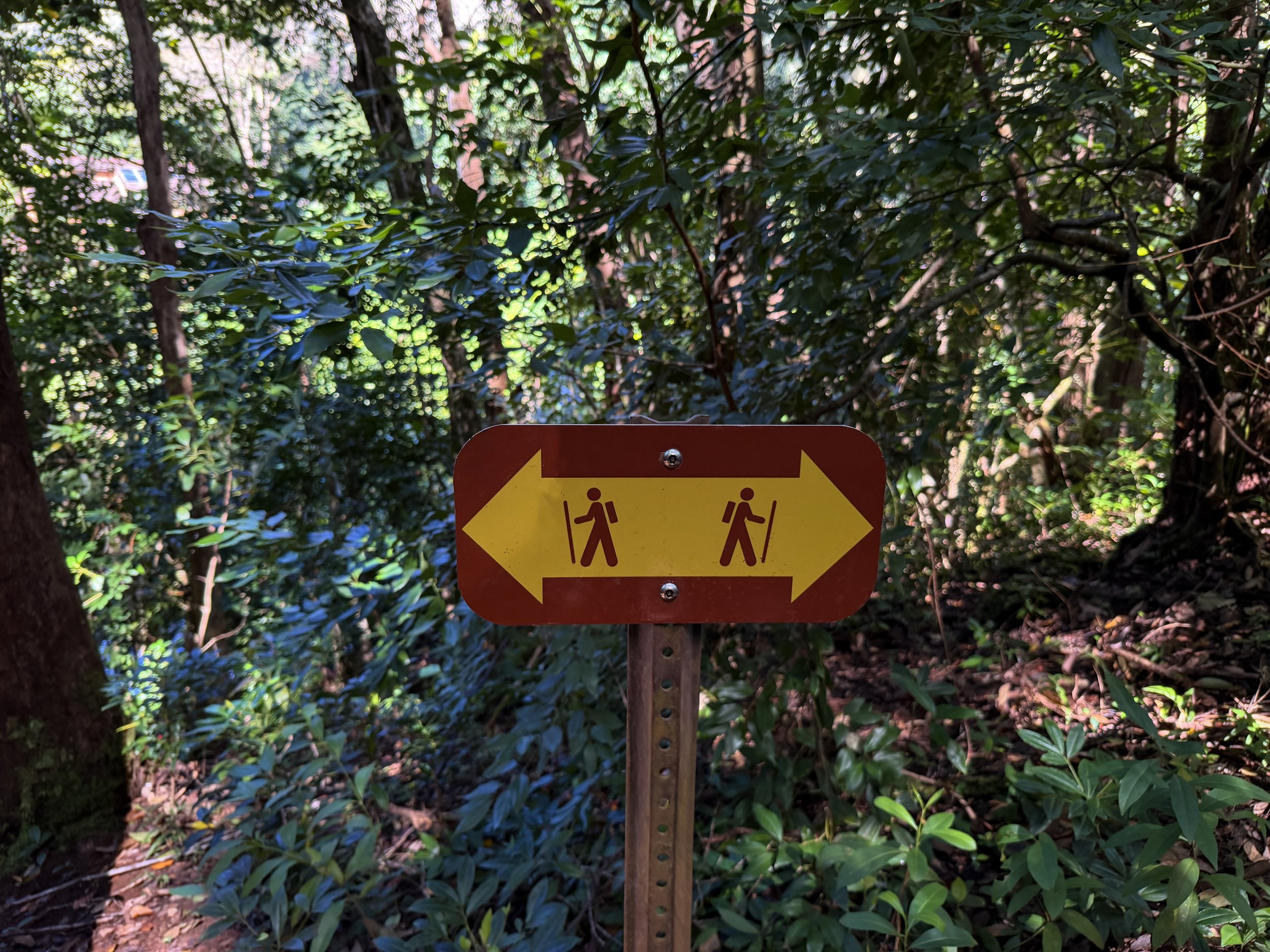 Jackass Ginger Pool Trail Oahu Hawaii