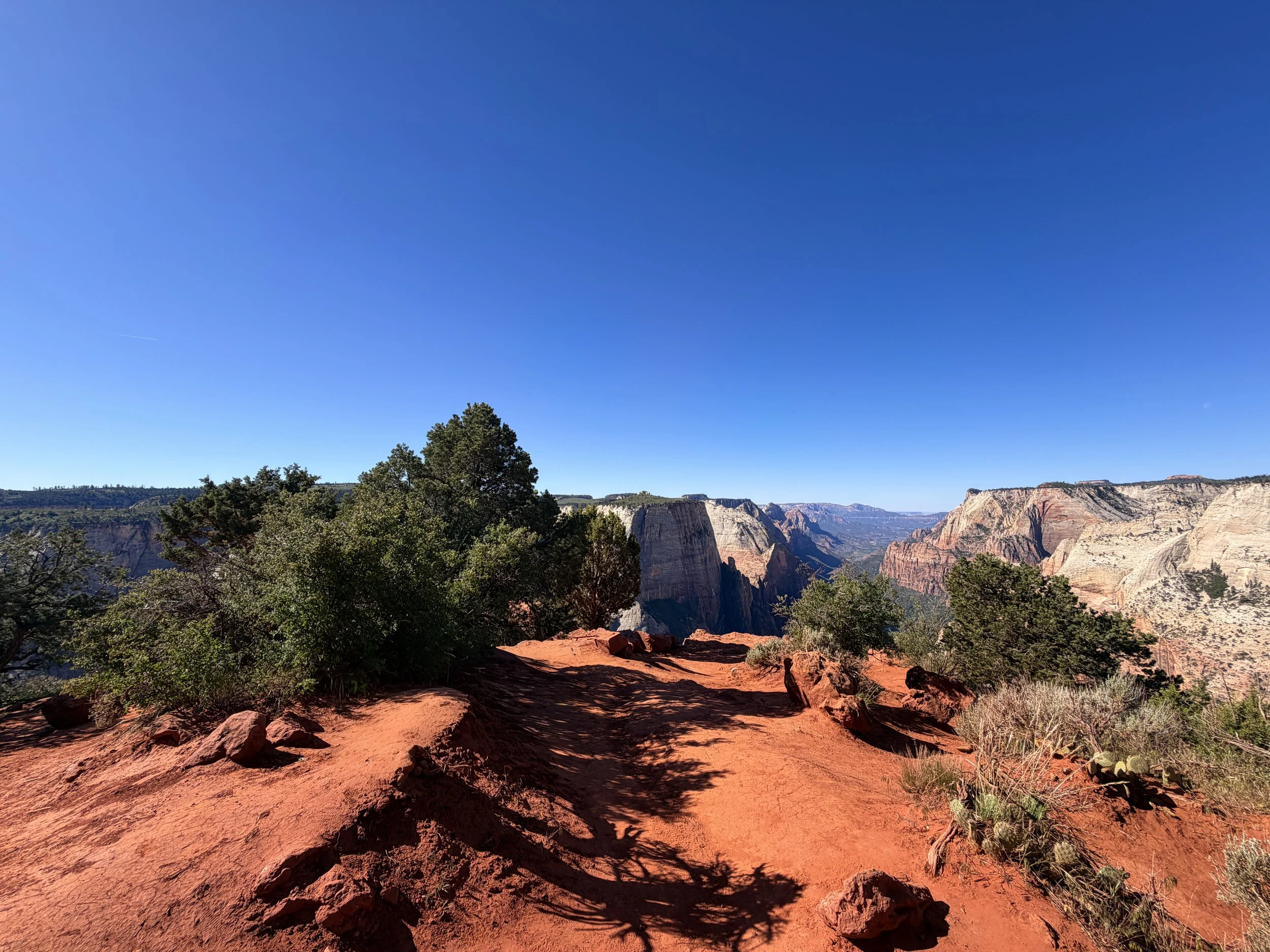 Observation Point Zion National Park Utah