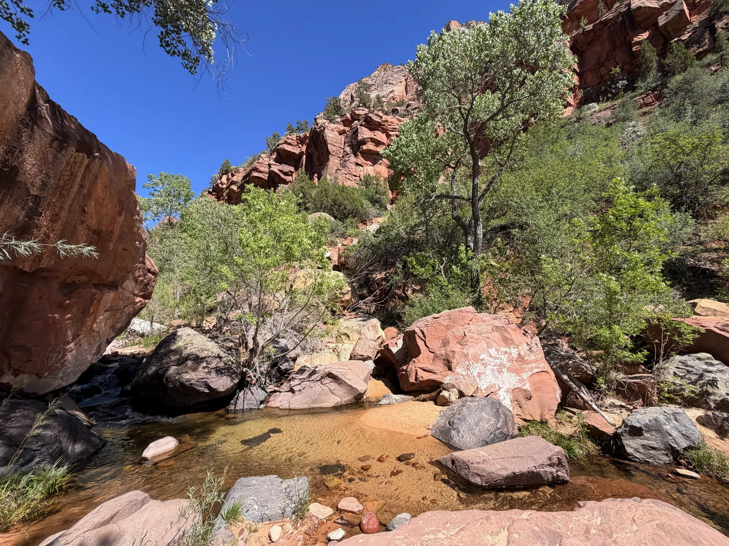Subway Trail via Left Fork Trailhead Zion National Park Utah