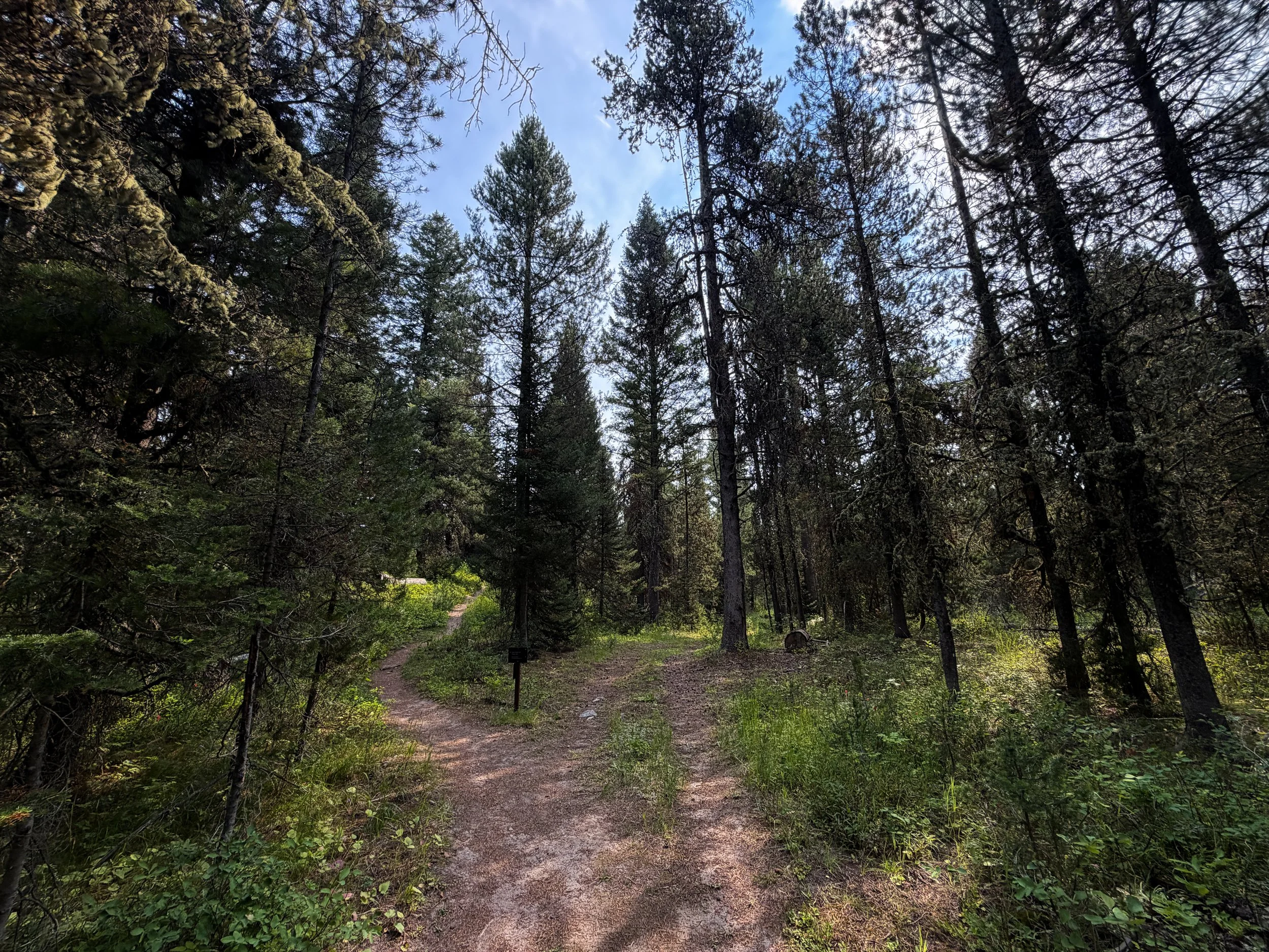 Aspen Ridge Trail Grand Teton National Park Wyoming