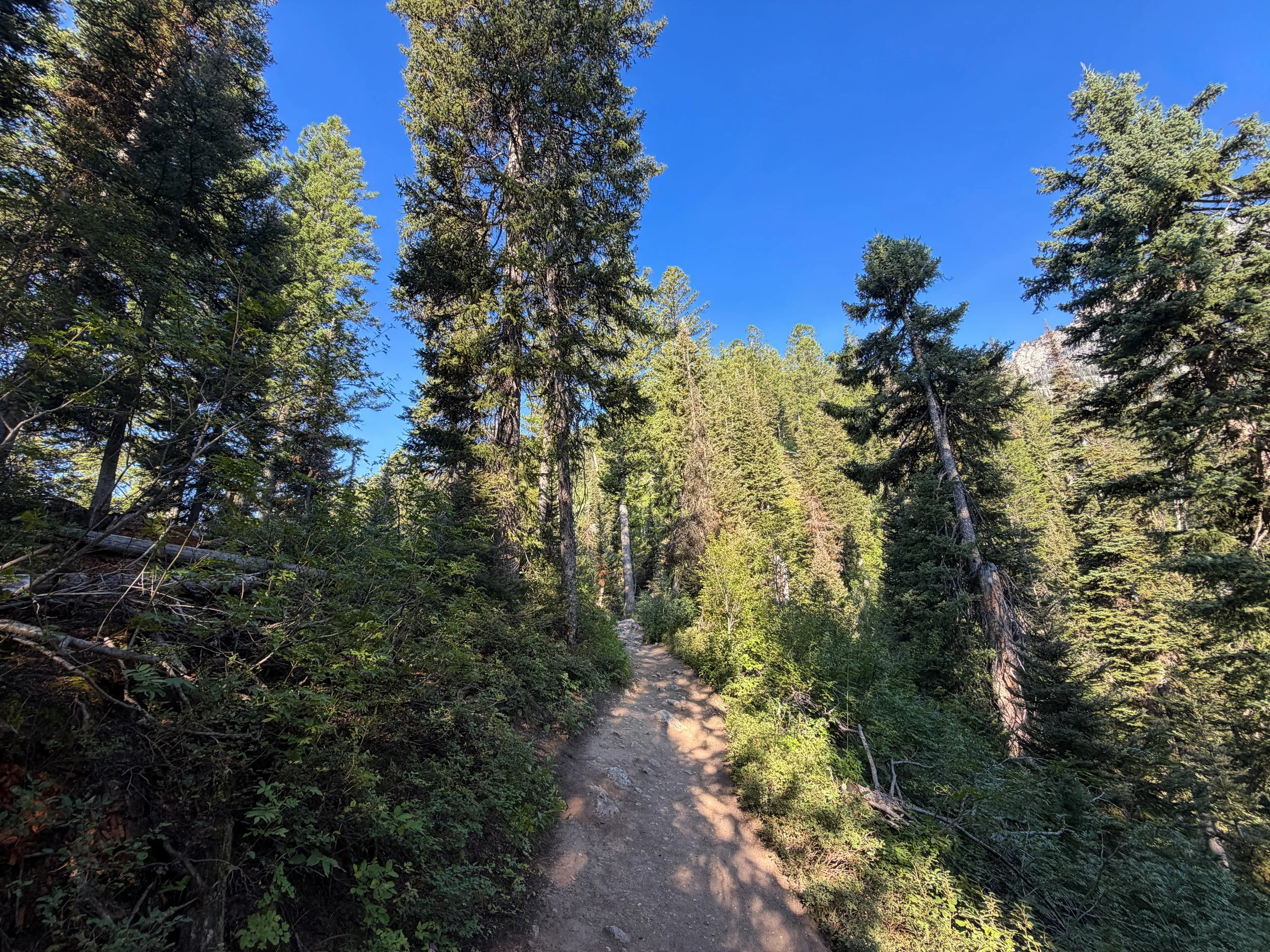 Delta Lake Trail Grand Teton National Park Wyoming