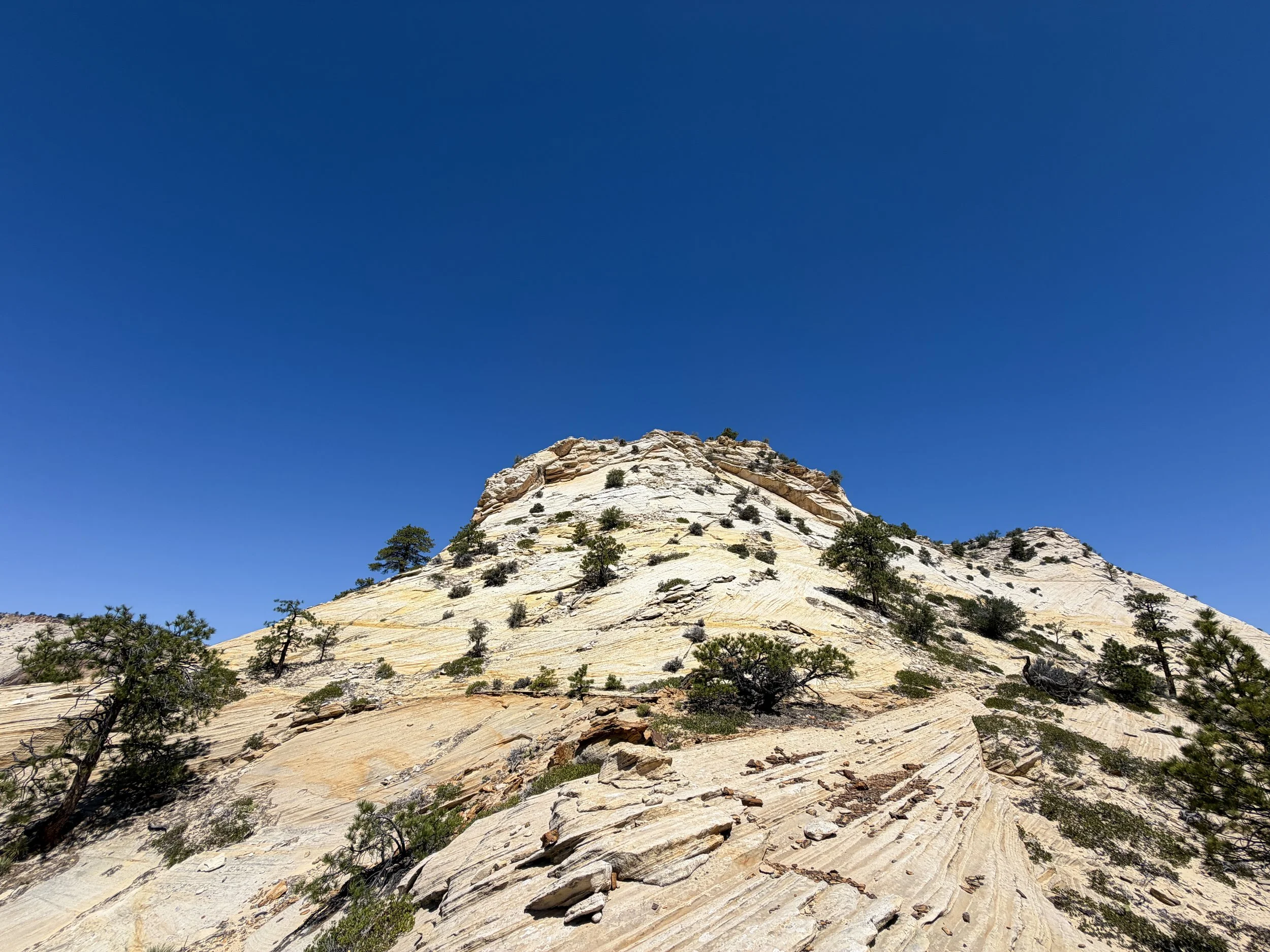 South Ariel Peak Climb Zion National Park Utah