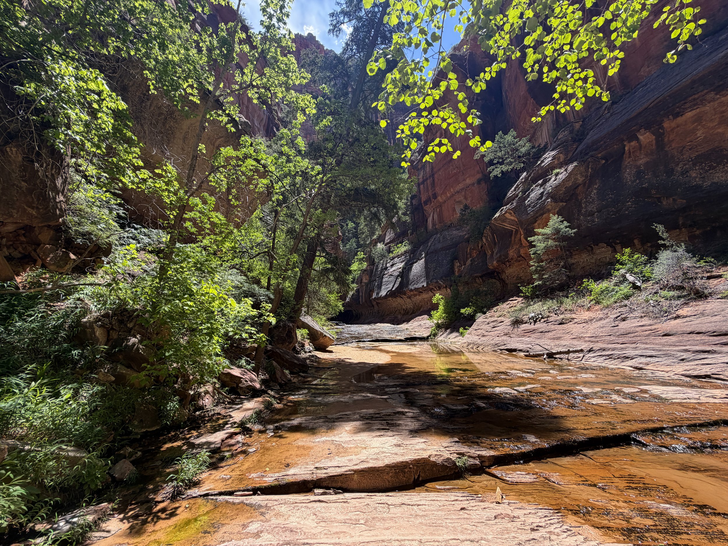 Subway Trail Zion National Park Utah