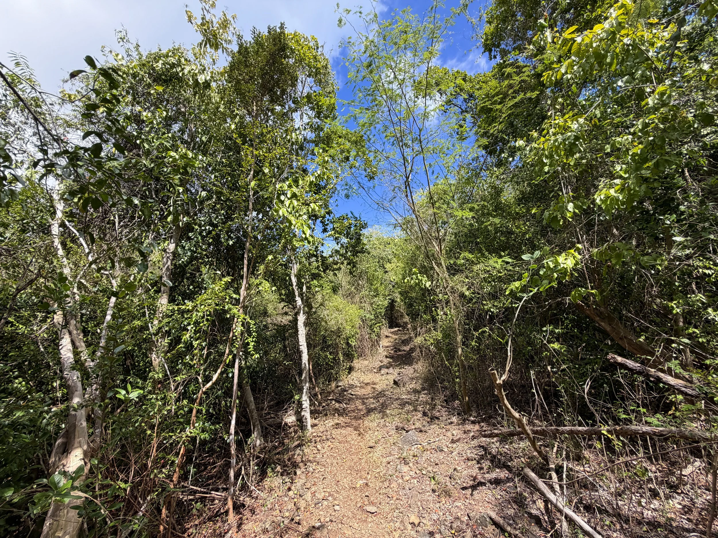 Brown Bay Hike Virgin Islands National Park