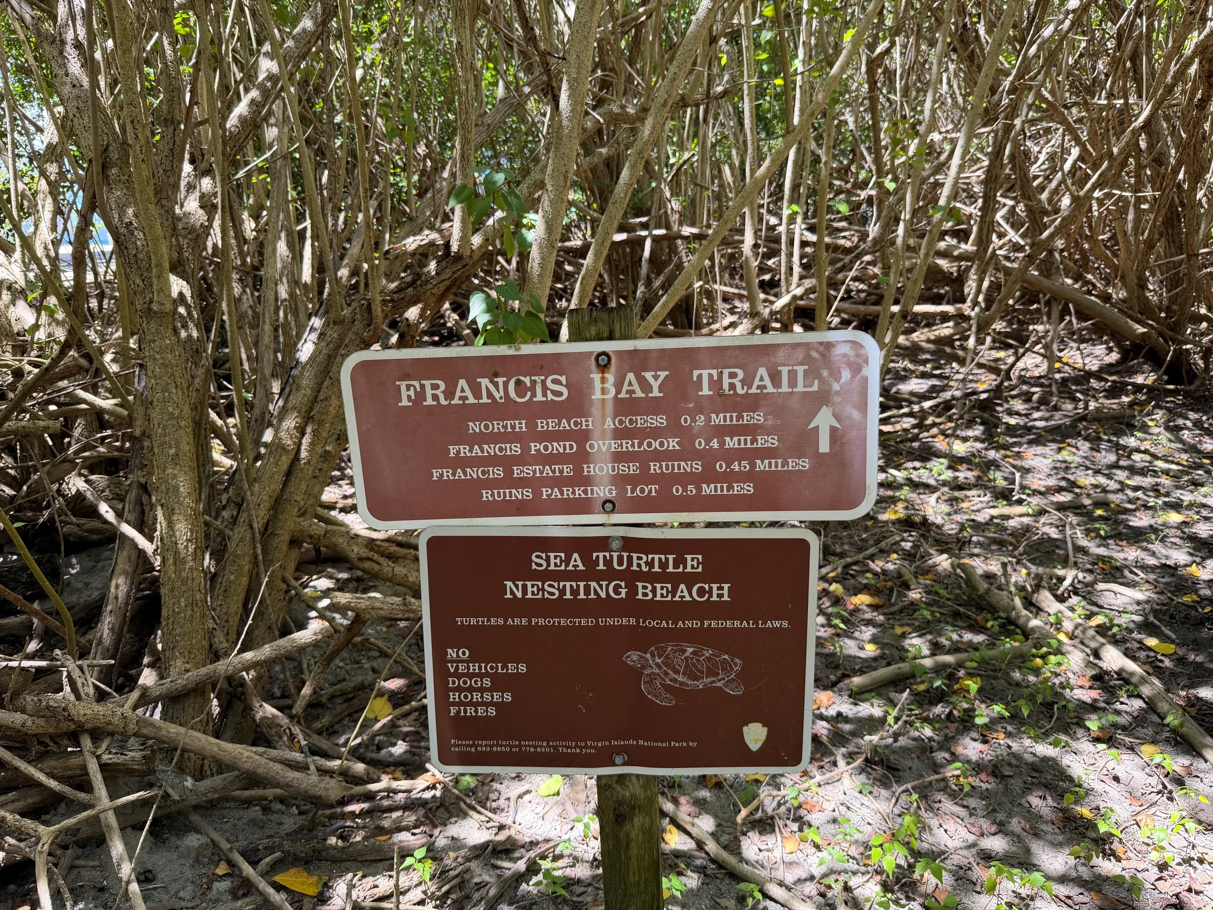 Francis Bay Trailhead Virgin Islands National Park