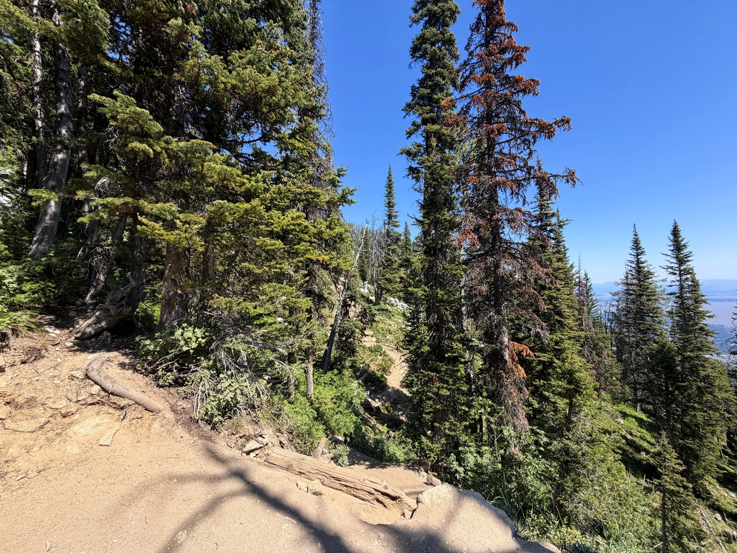 Delta Lake Trail Split Grand Teton National Park Wyoming