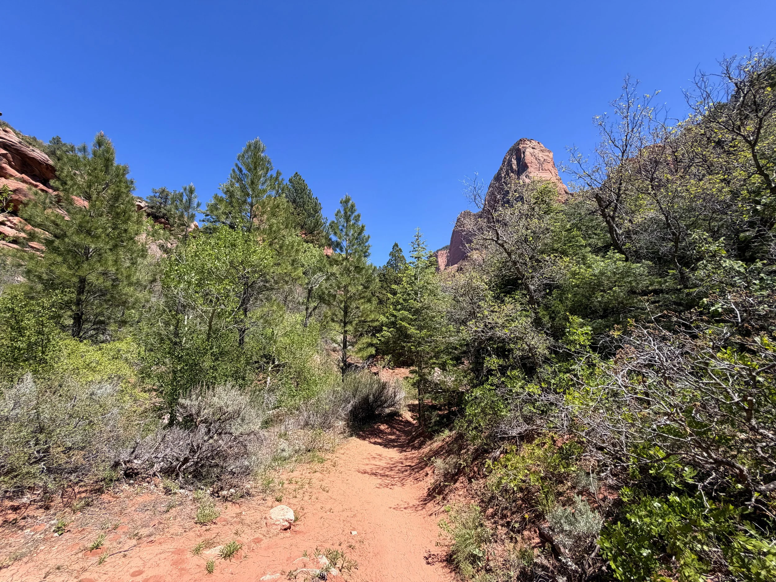 Middle Taylor Creek Trail to Double Arch Alcove Zion National Park Utah