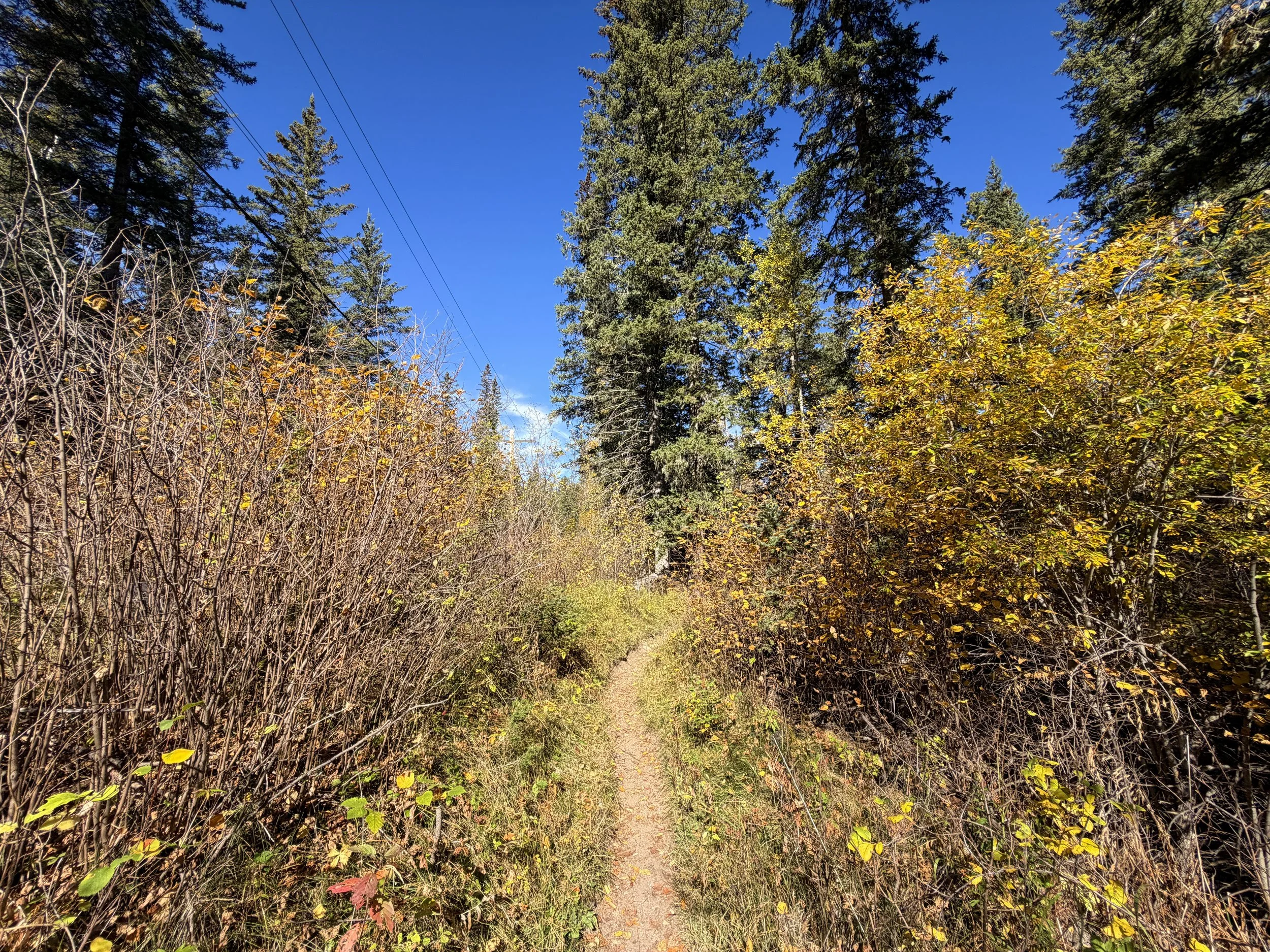 Sunday Gulch Trail Custer State Park Black Hills South Dakota