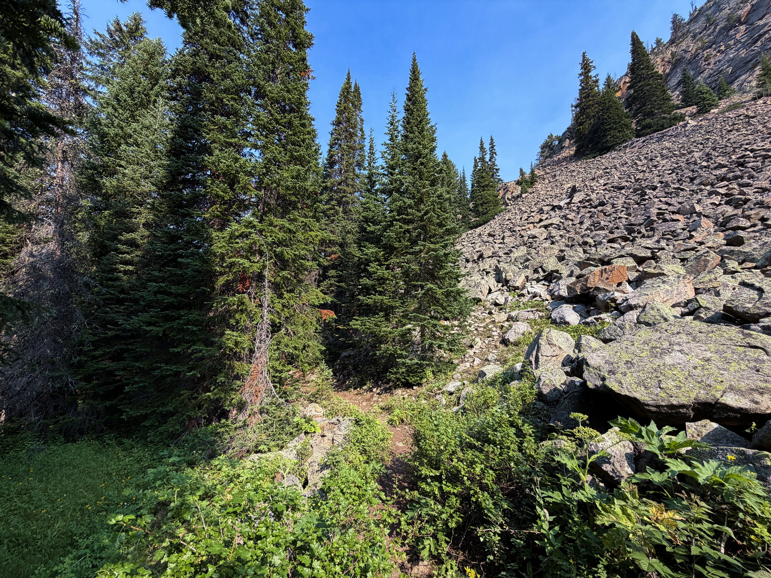 East Rosebud Trail The Beaten Path Beartooth Mountains Montana